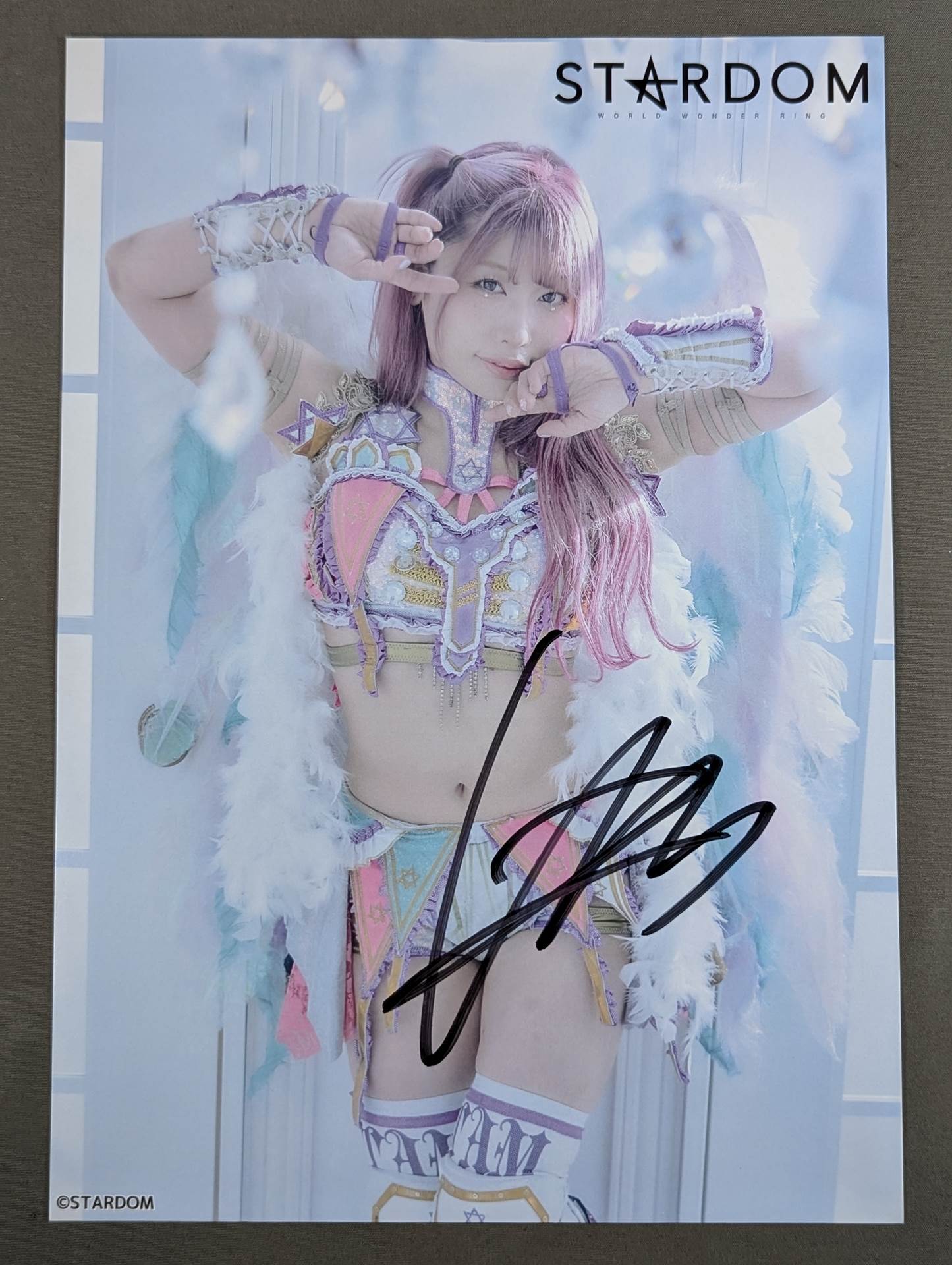 STARDOM 中野たむ　ポートレート２点 Amazon.co.jp: STARDOM 中野たむ ポートレート : おもちゃ