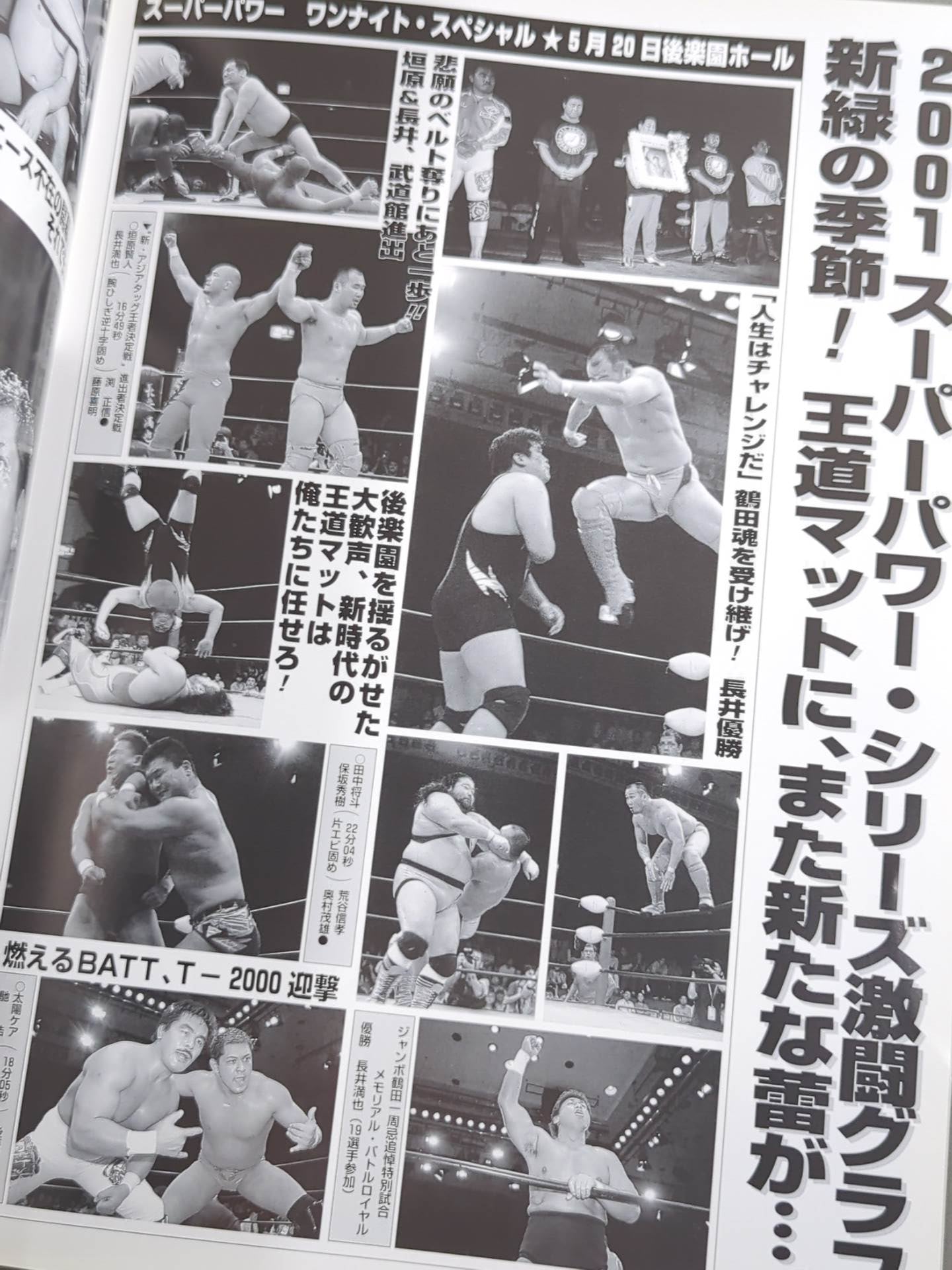 6.8 Super Power in Budokan / All Japan Pro Wrestling vs New Japan Pro Wrestling Competition