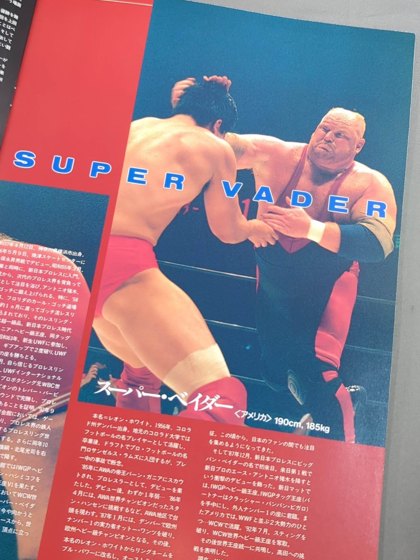 ★高田vsベイダー 2戦目★ 94 PRO-WRESTLING WORLD TOURNAMENT 決勝戦