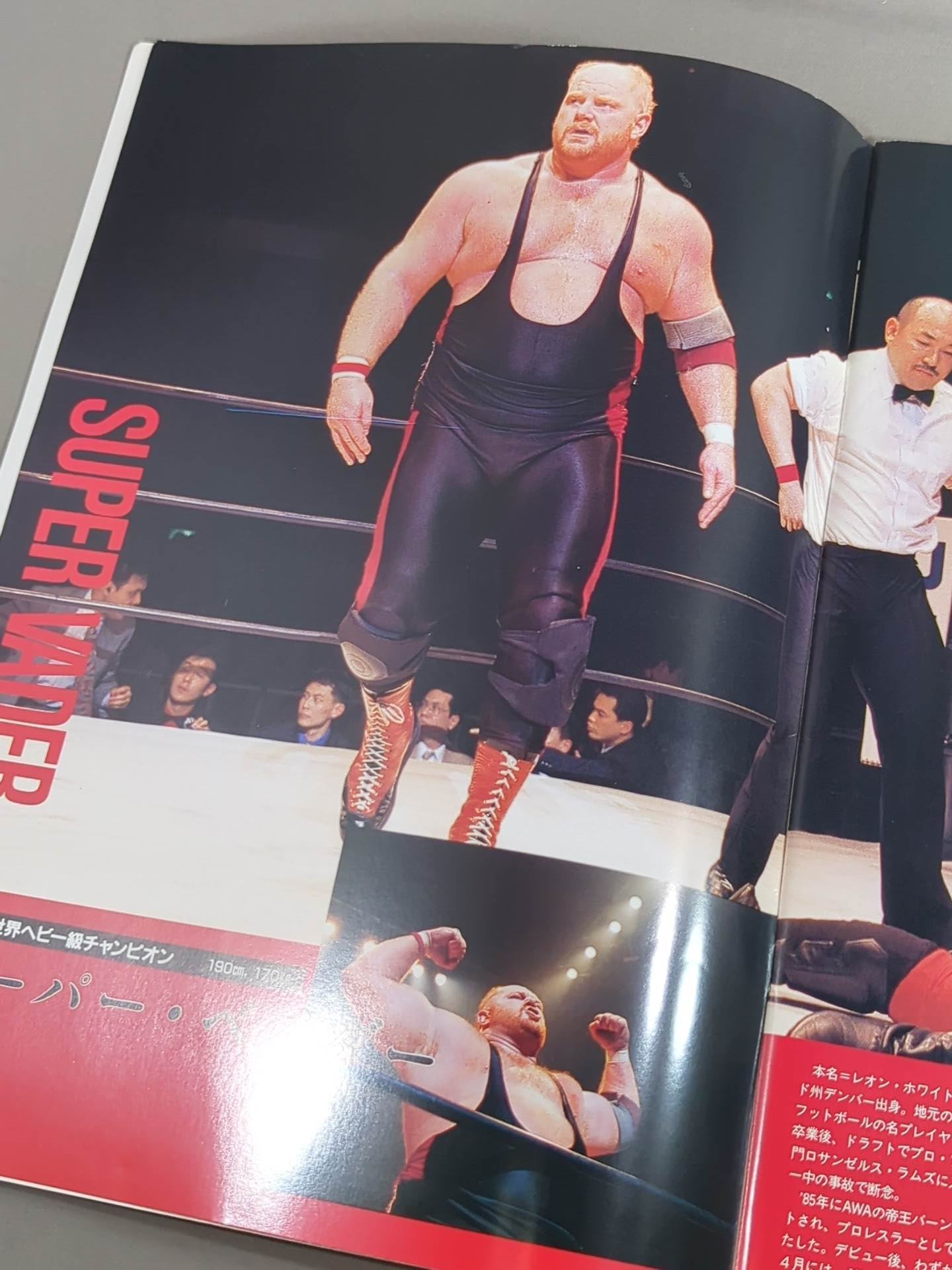 ★ベイダーvs山崎一夫★ THE FIGHT OF CHAMPIONS(1993.8.13)