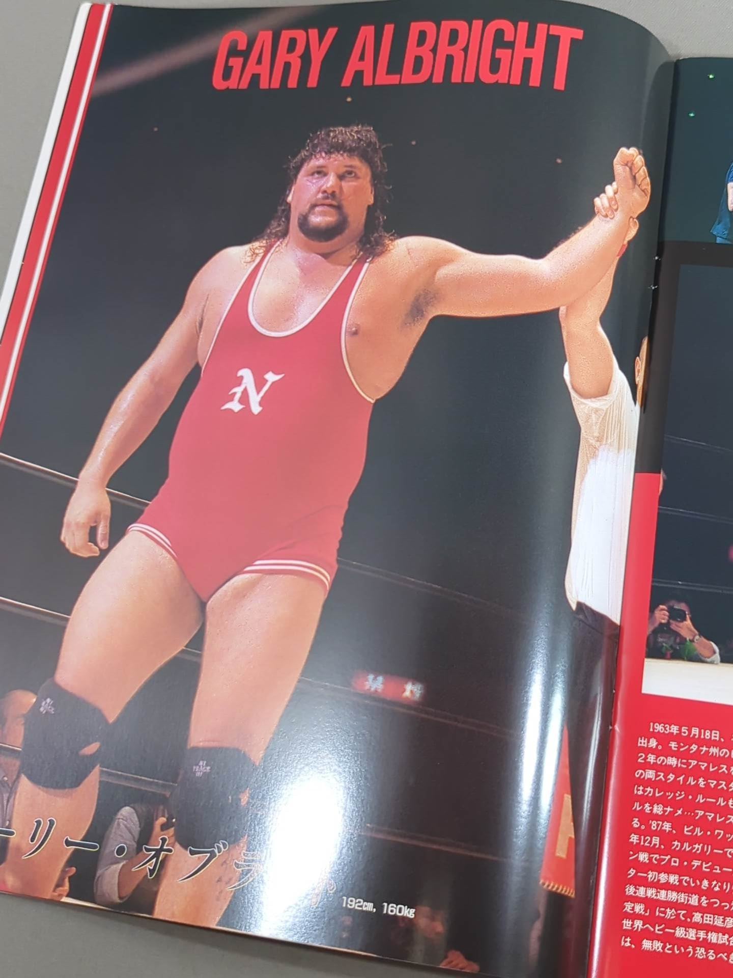 ★ベイダーvs山崎一夫★ THE FIGHT OF CHAMPIONS(1993.8.13)