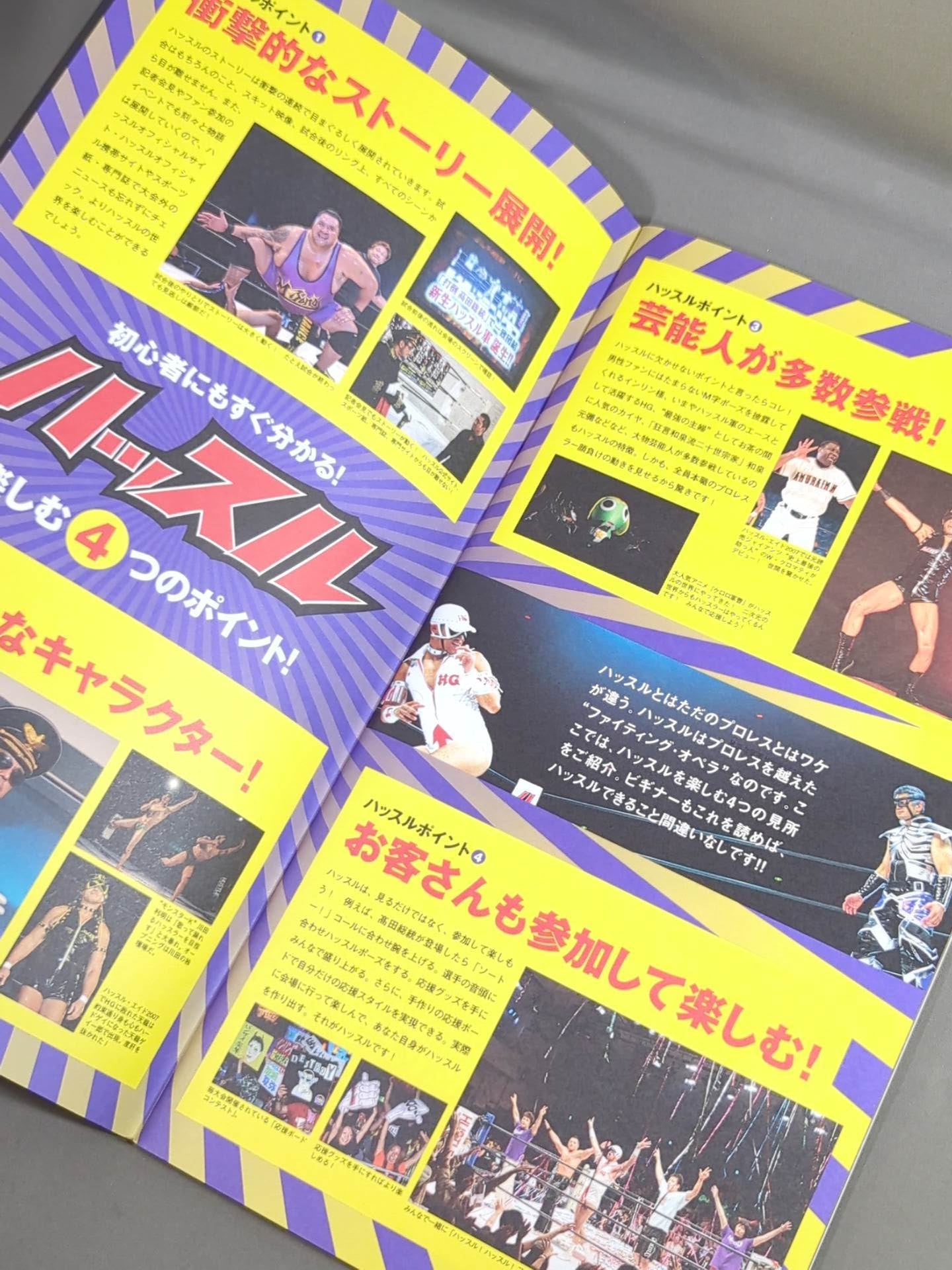 ハッスル・マニア 2007