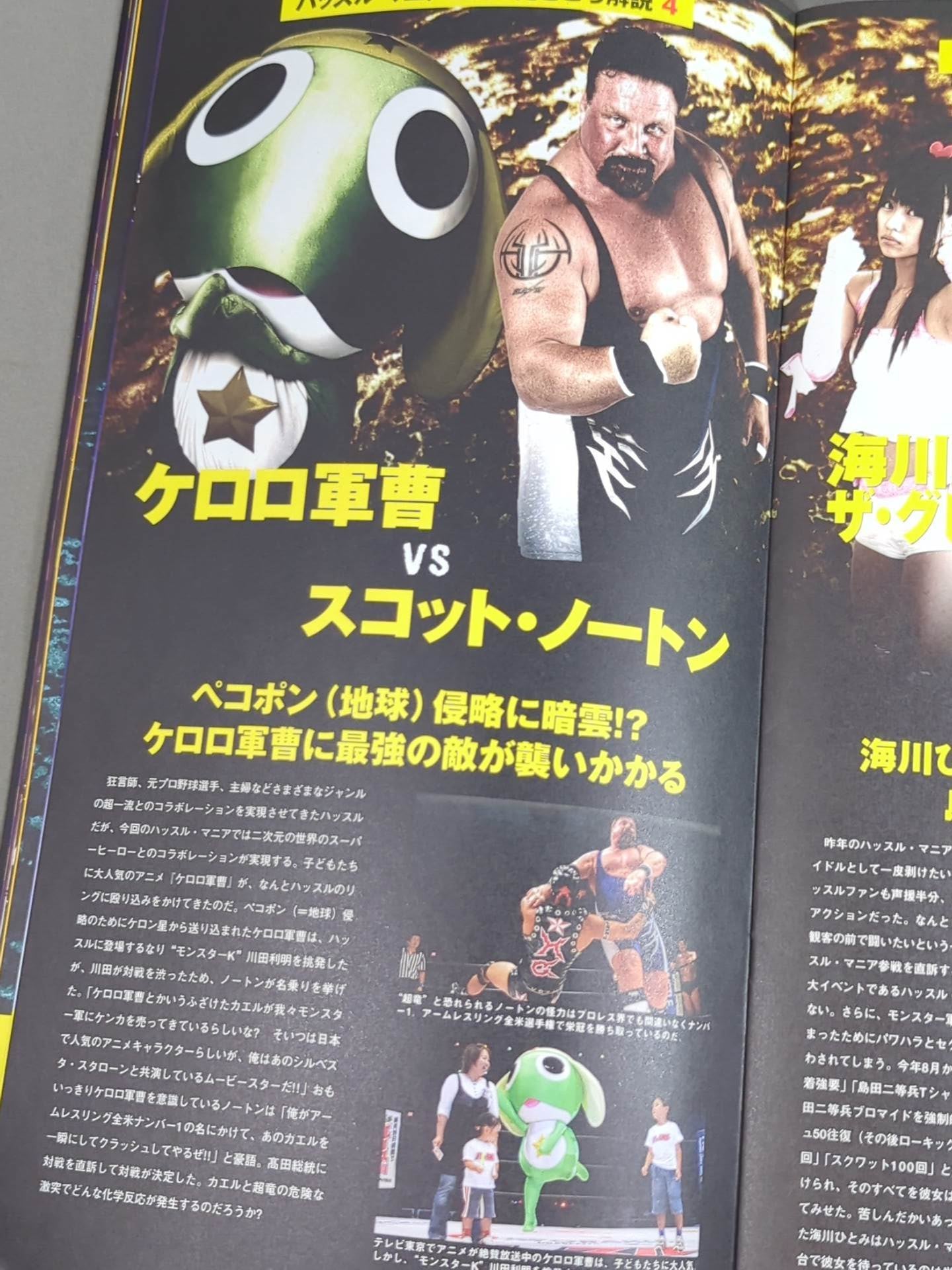 ハッスル・マニア 2007