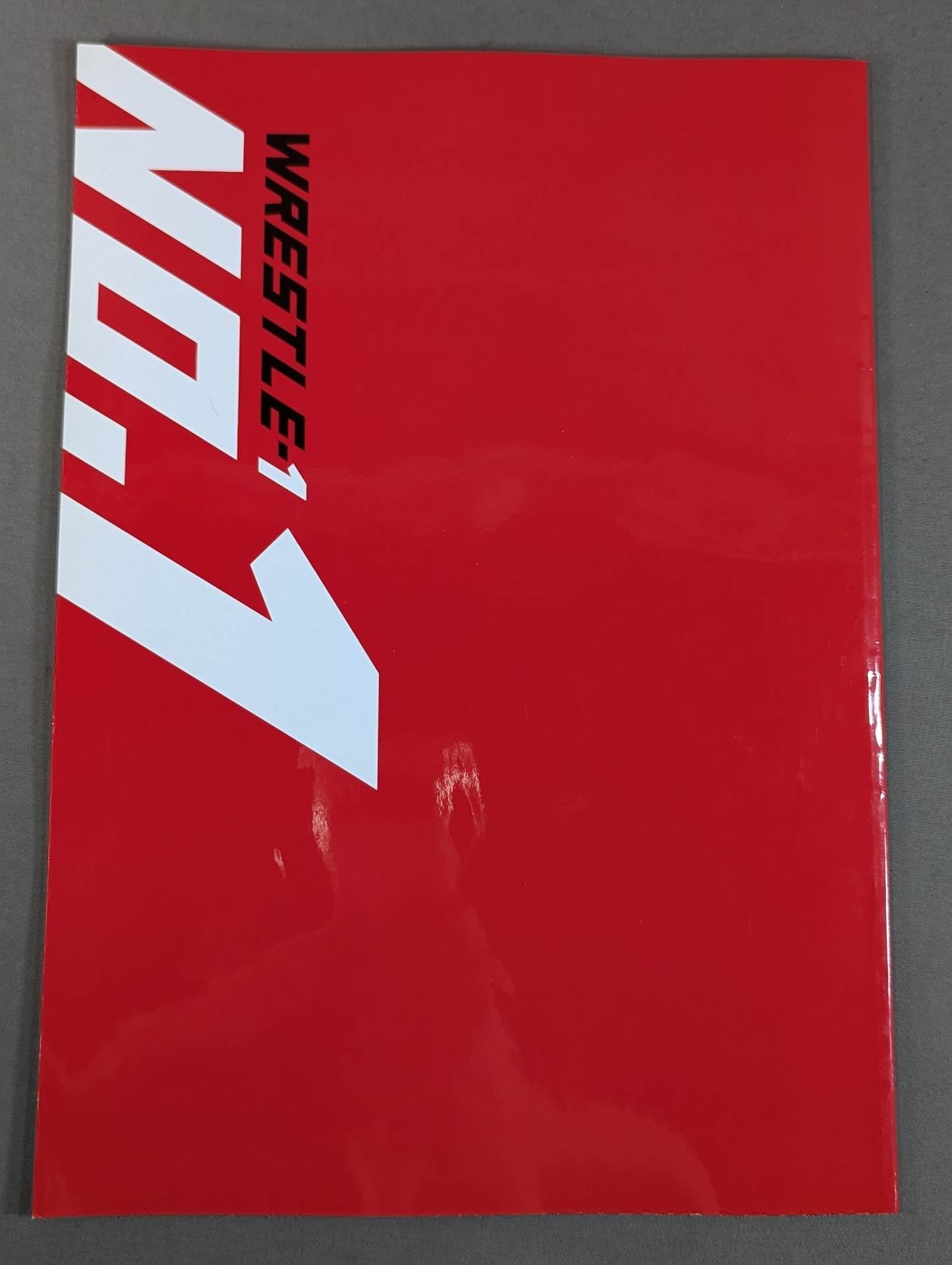 ★旗揚げ戦★ WRESTLE-1 No.1 / A NEW BEGINNING