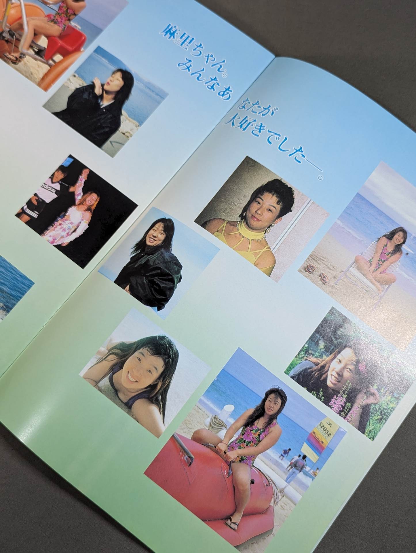 Plum Mariko Memorial Box Office
