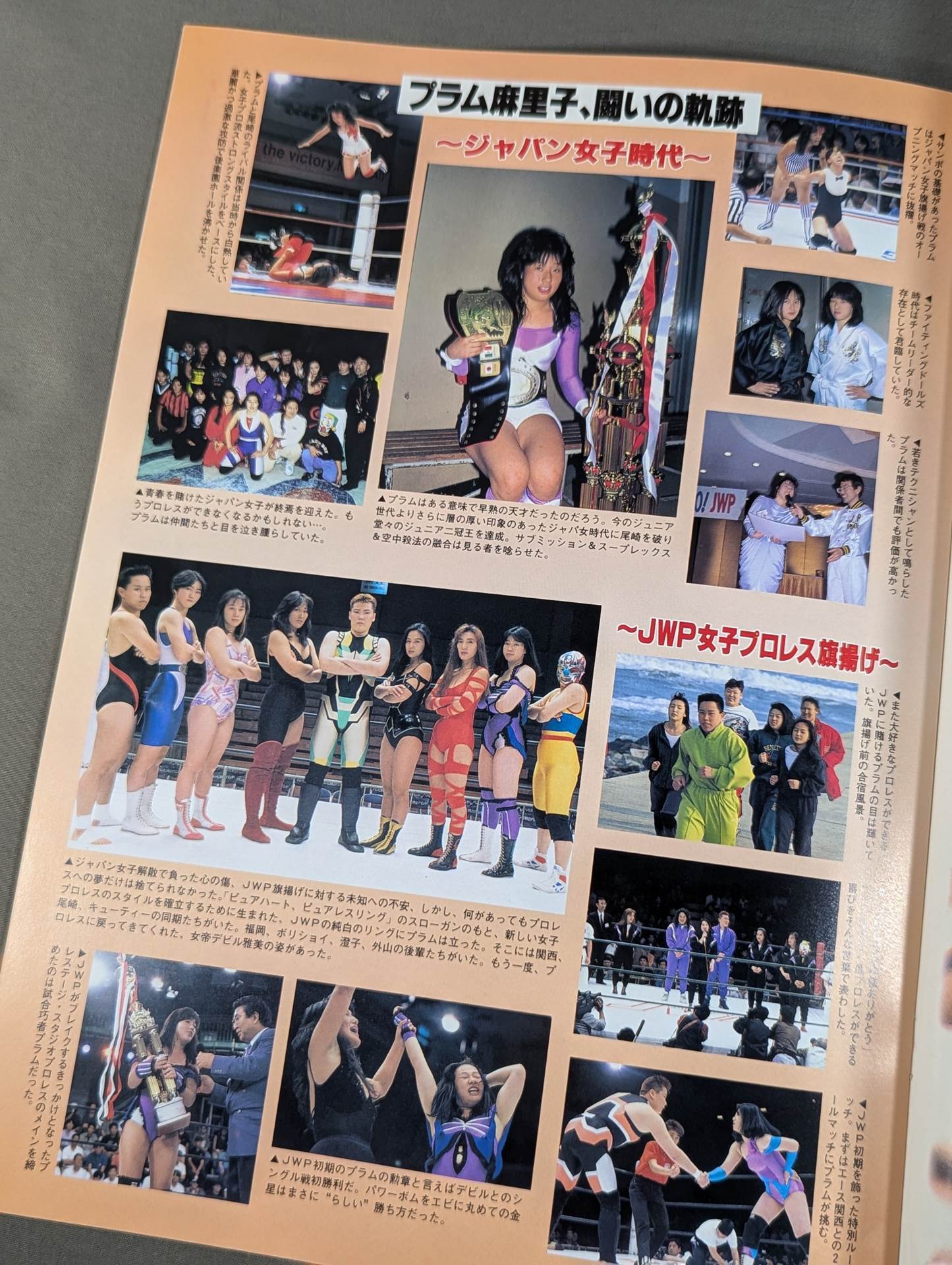 Plum Mariko Memorial Box Office