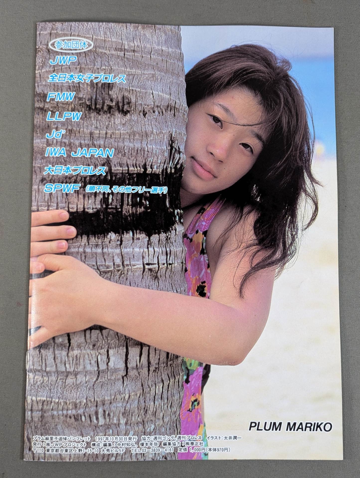 Plum Mariko Memorial Box Office