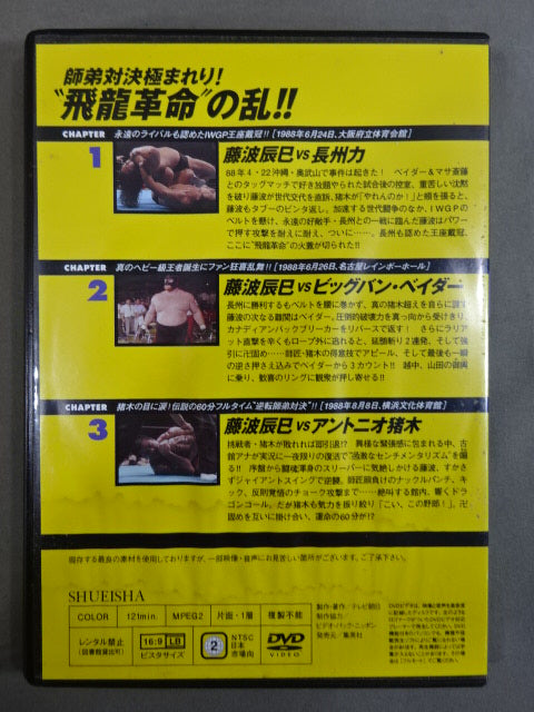 燃えろ!新日本プロレス vol.36