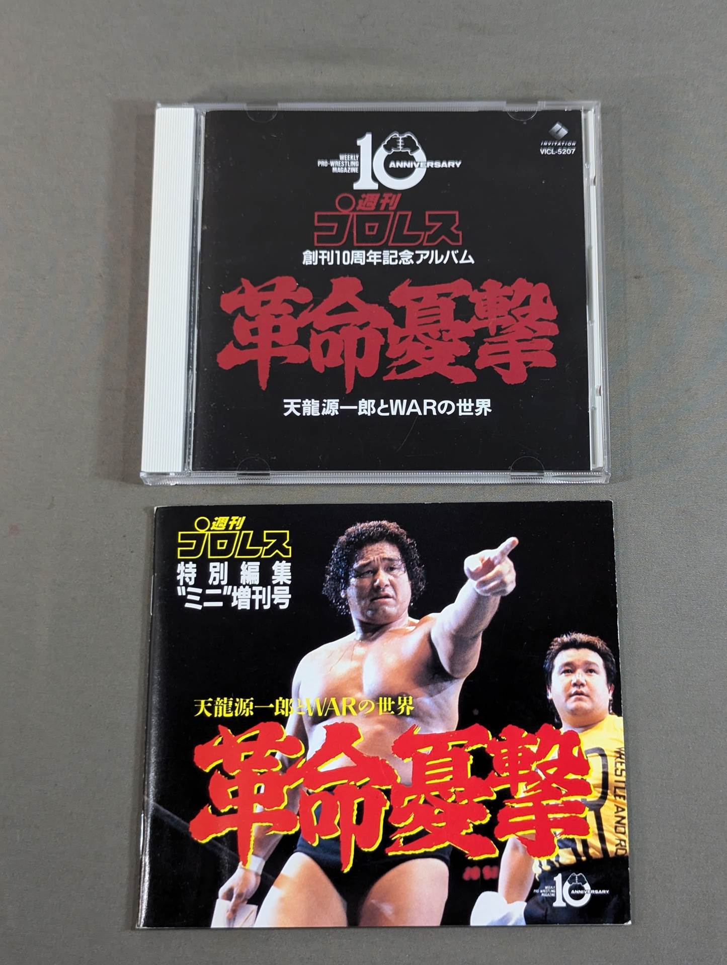 革命憂撃 天龍源一郎とWARの世界