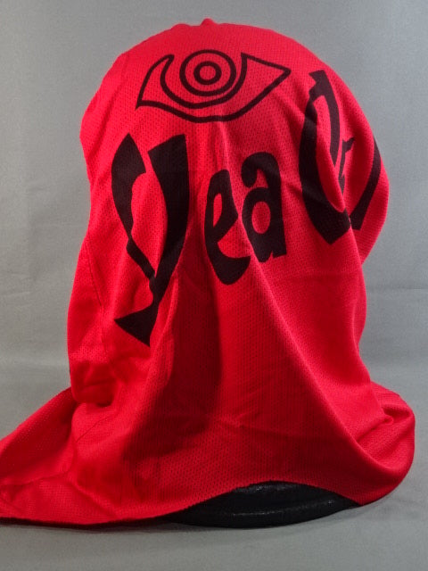 Shinsuke Nakamura