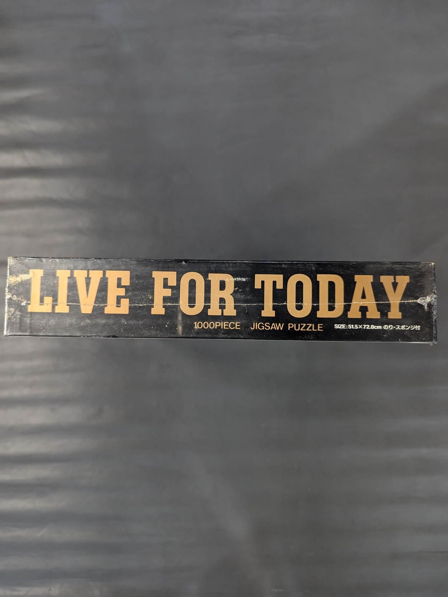 Tenryu Genichiro "LIVE FOR TODAY" 1000 Piece Puzzle