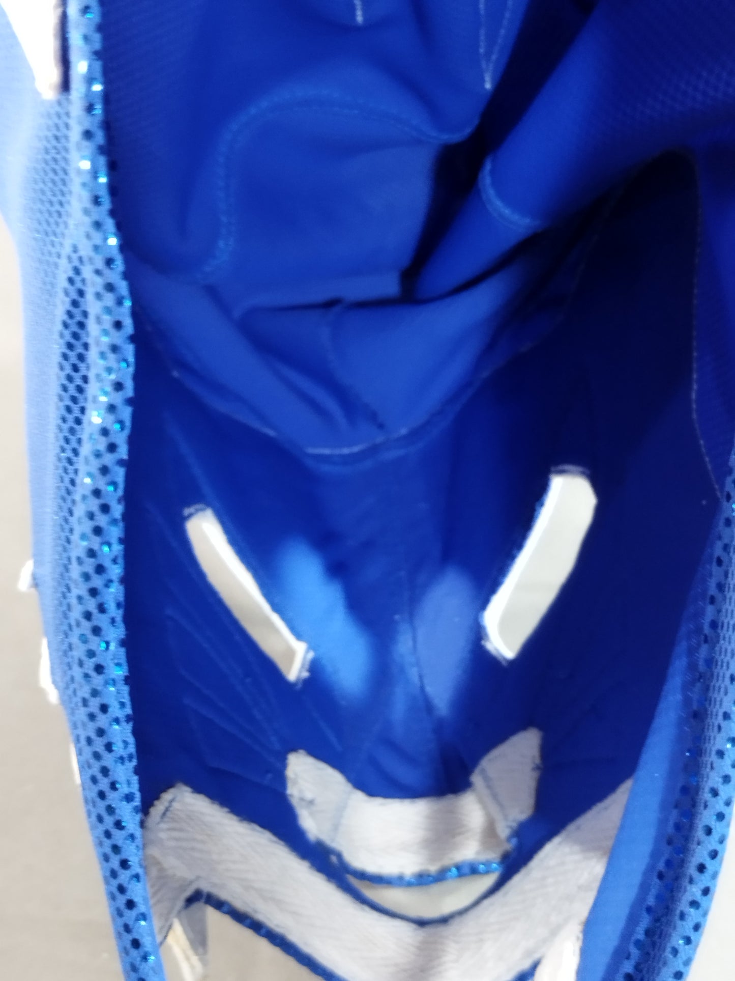 Blue Panther