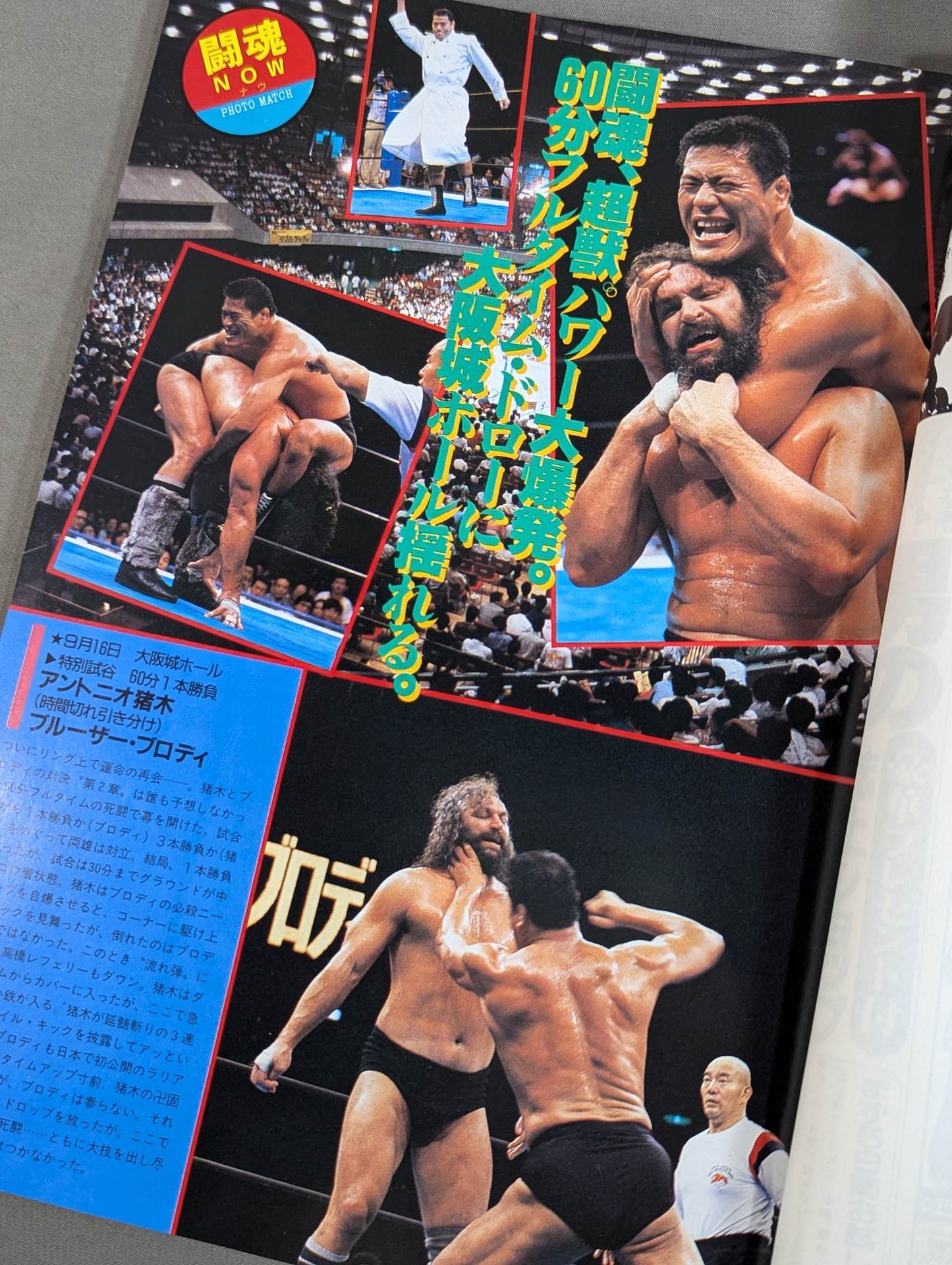 Fighting Spirit Special 28