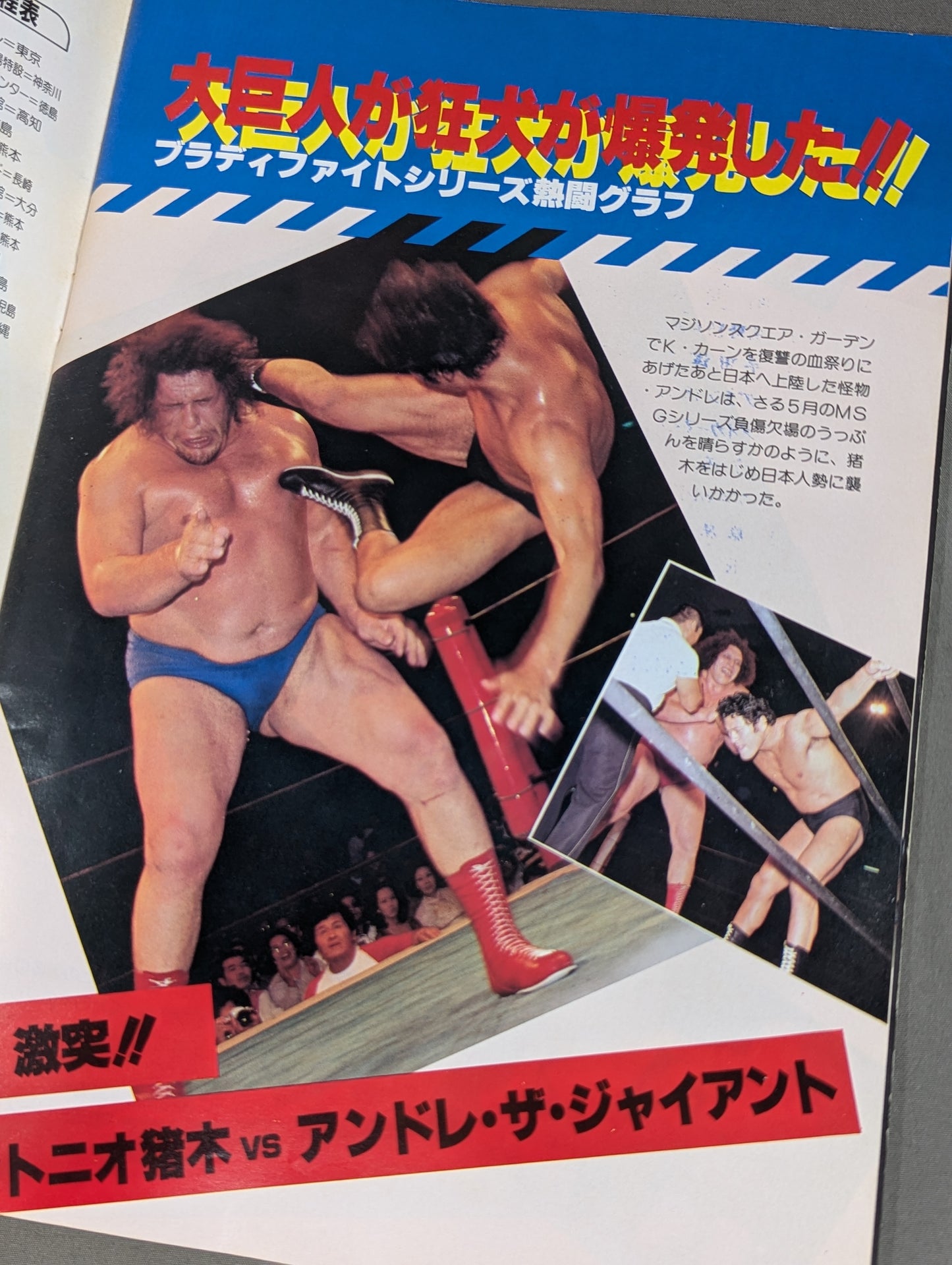 THE WRESTLER 闘魂シリーズ Vol.4