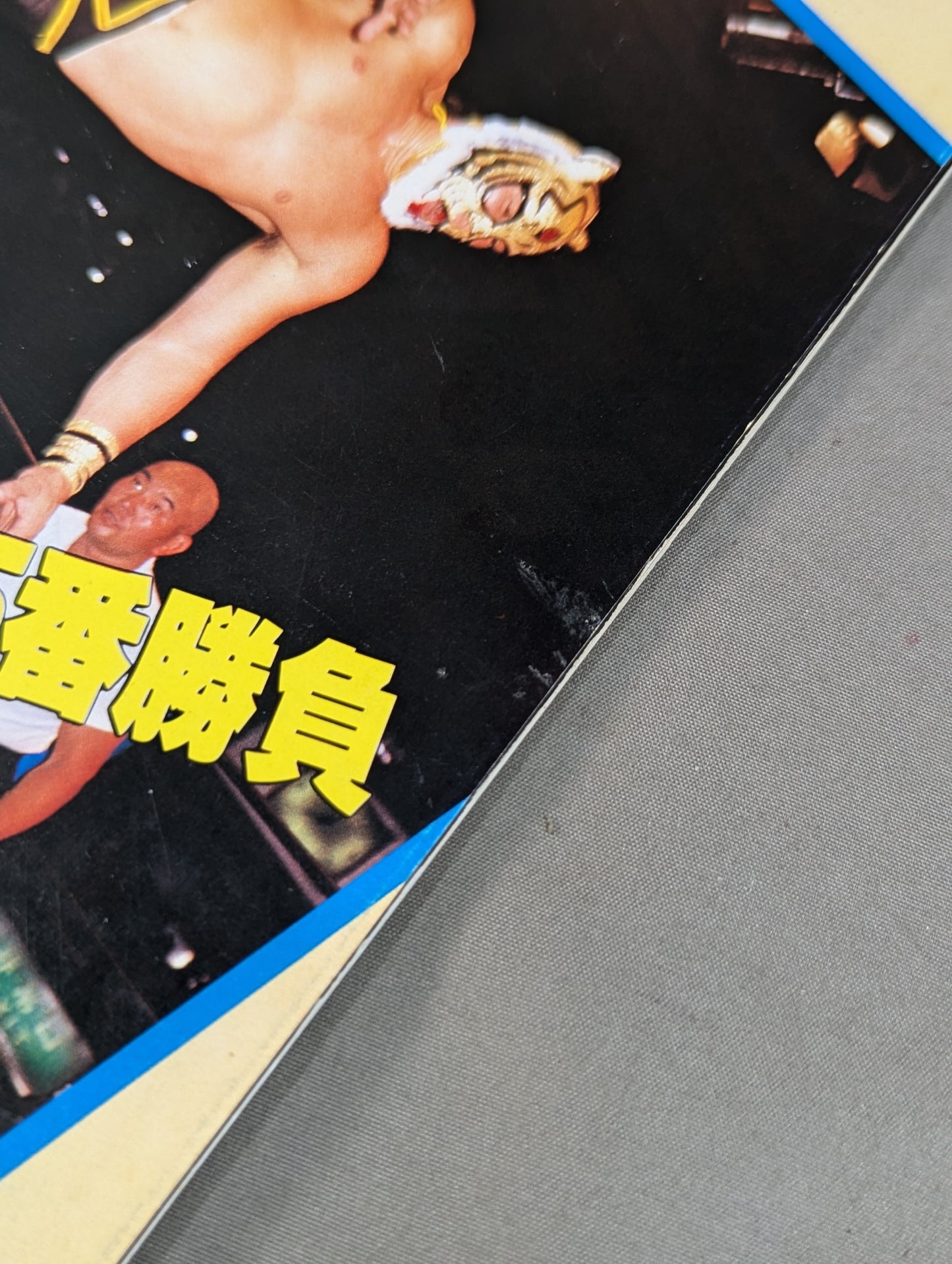 THE WRESTLER 闘魂シリーズ Vol.4