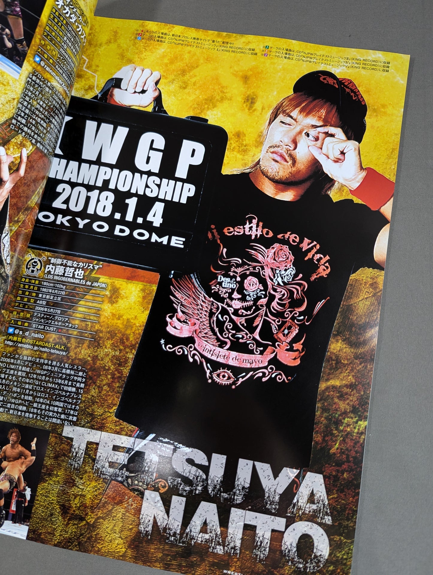WRESTLE KINGDOM 12