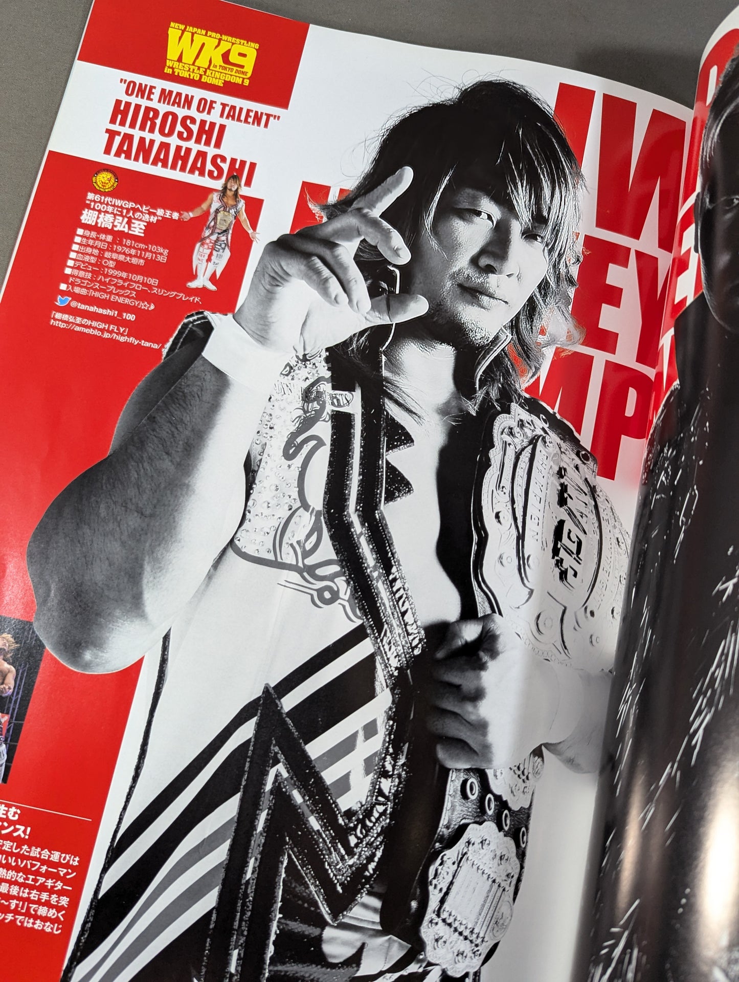 WRESTLE KINGDOM 9