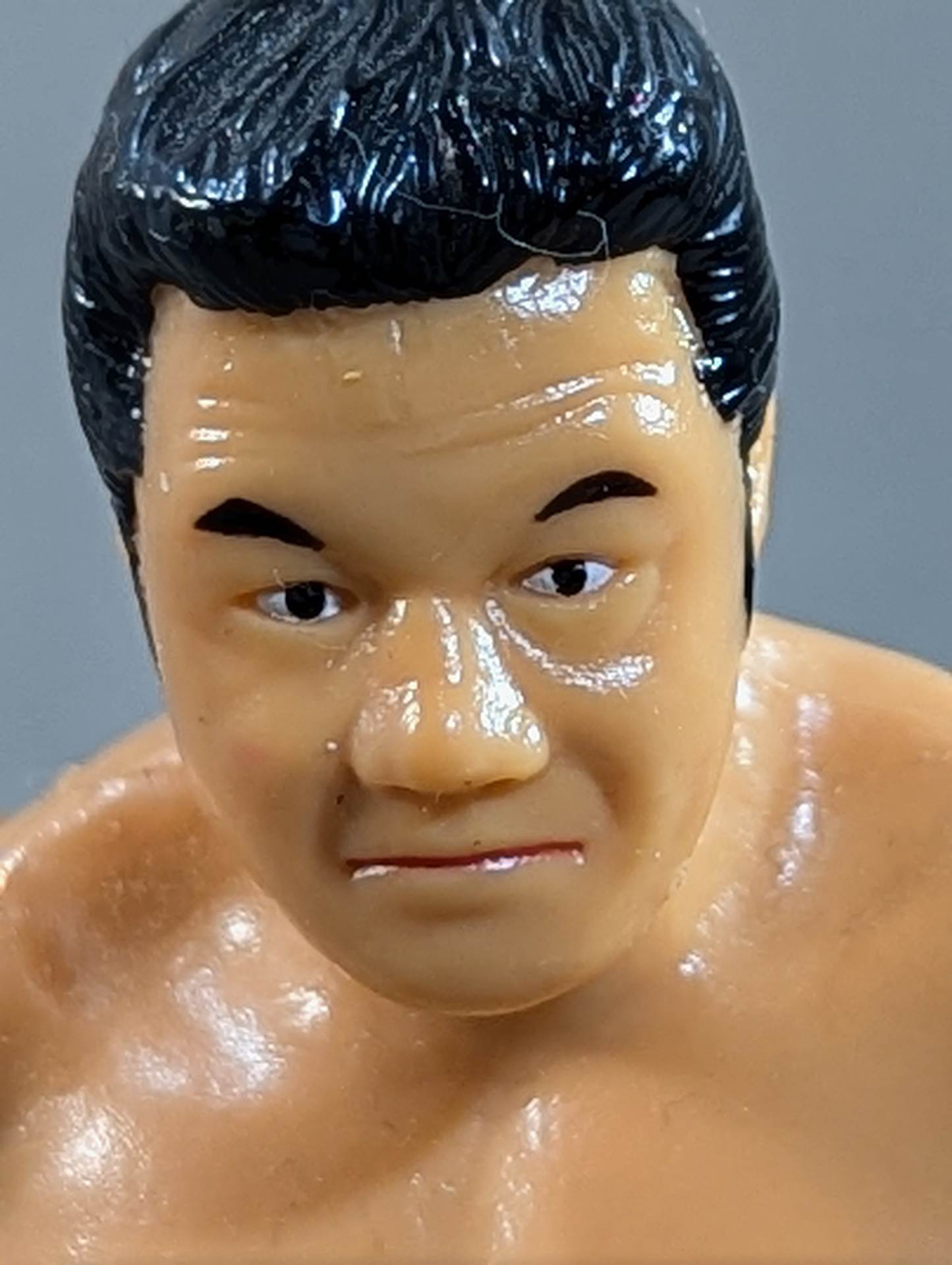 Tatsumi Fujinami