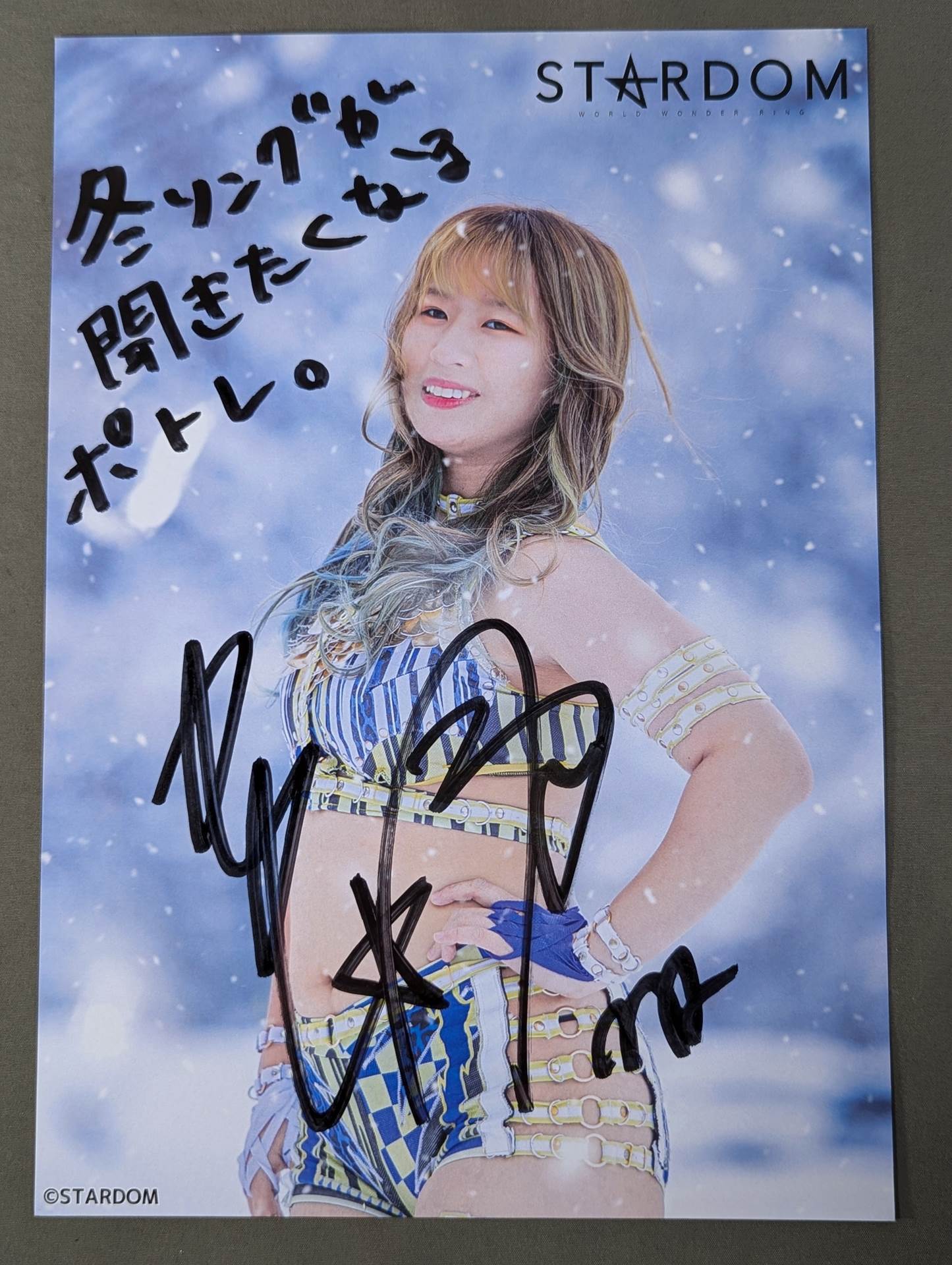 【限定品4種セット】スターダム　なつぽい　10周年記念直筆サイン入りポートレート 受注】NATSU＆SAORY -10thAnniversary-のグッズが受注生産で登場