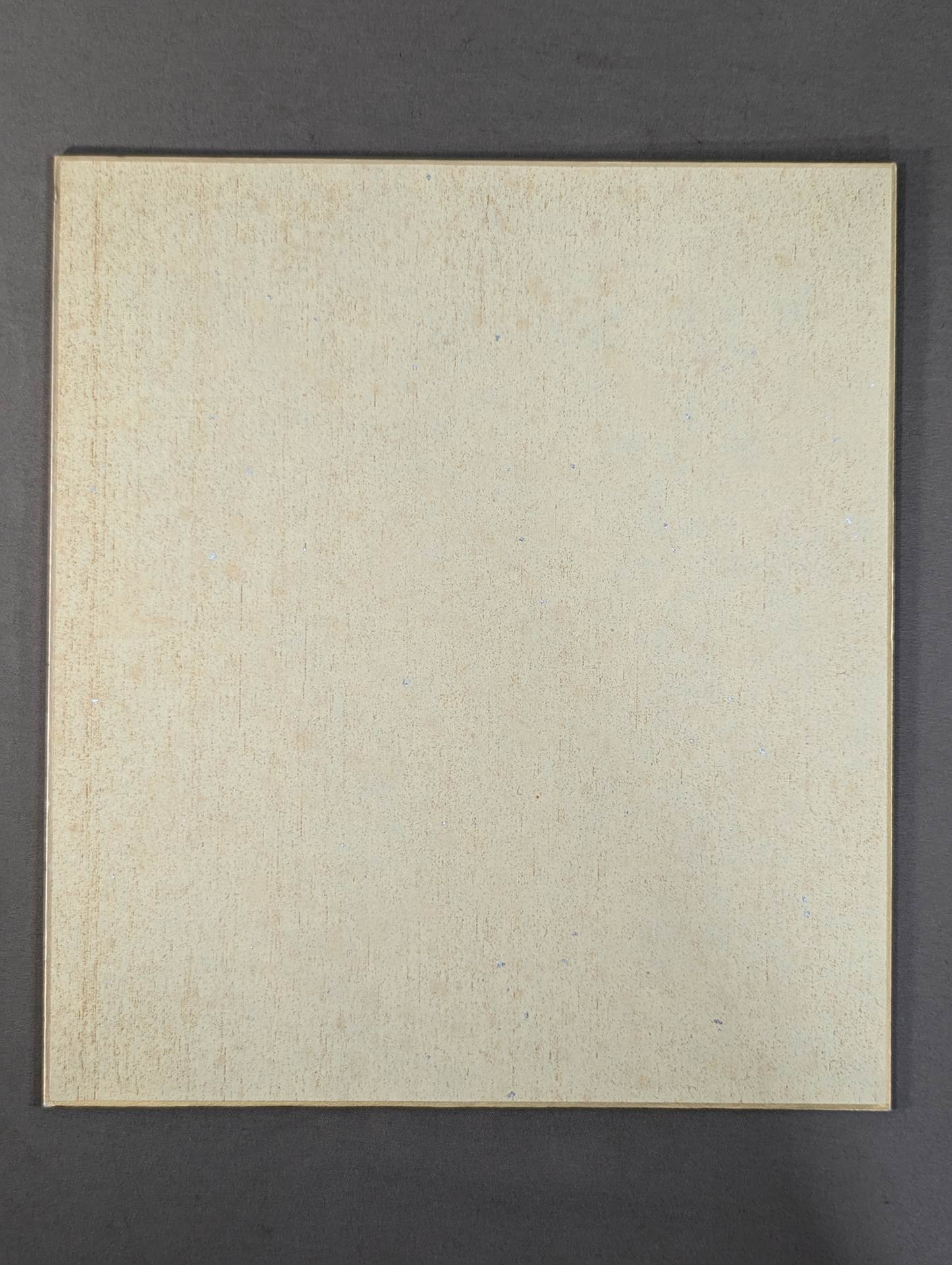 Kazunari Murakami & Katsuyori Shibata