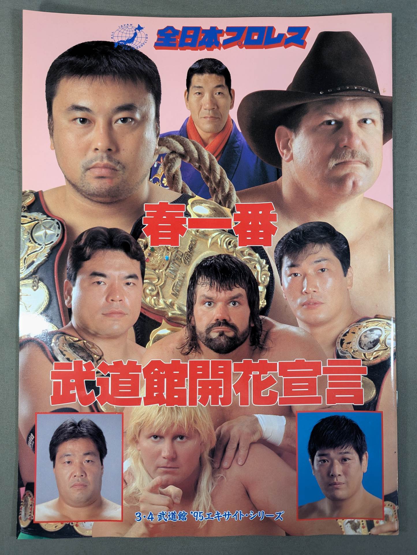 95エキサイト・シリーズ / 春一番 武道館開花宣言