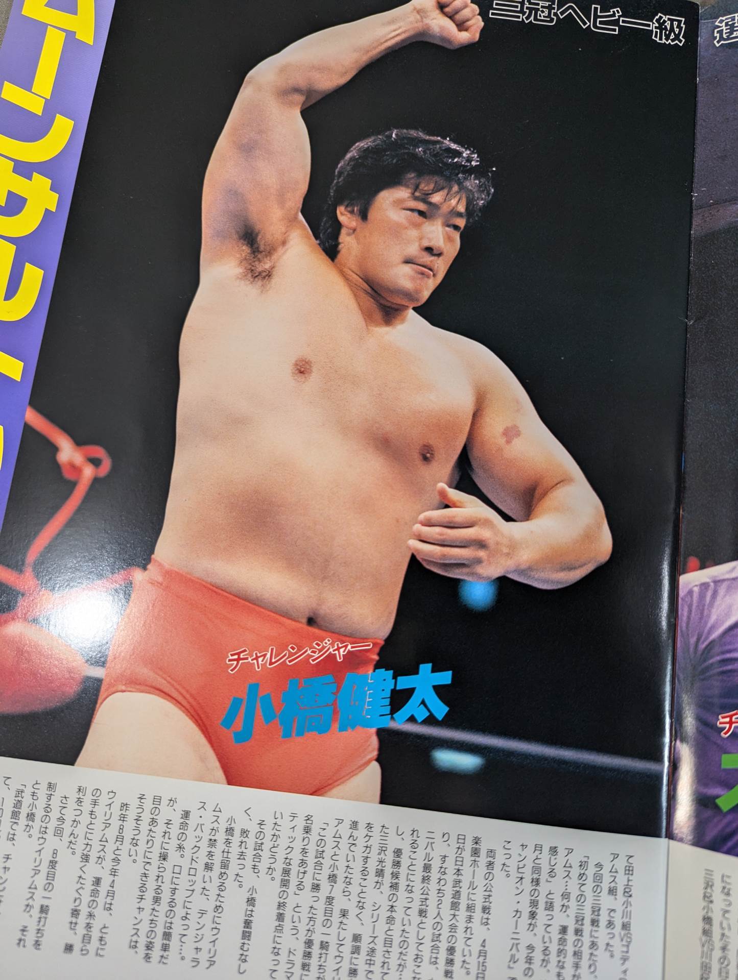 94サマーアクション・シリーズⅡ / 9・3王道夏激IN武道館2