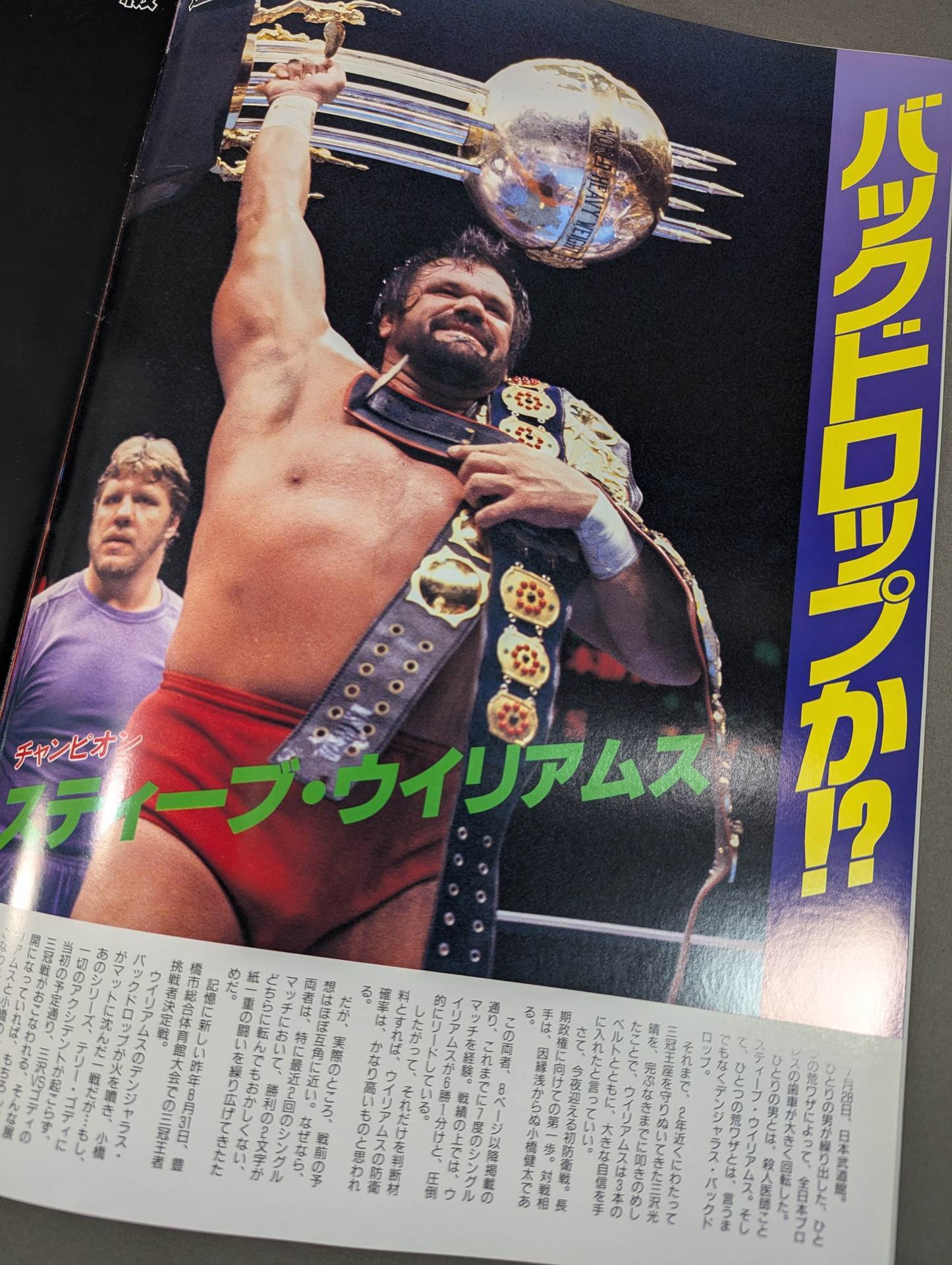 94サマーアクション・シリーズⅡ / 9・3王道夏激IN武道館2