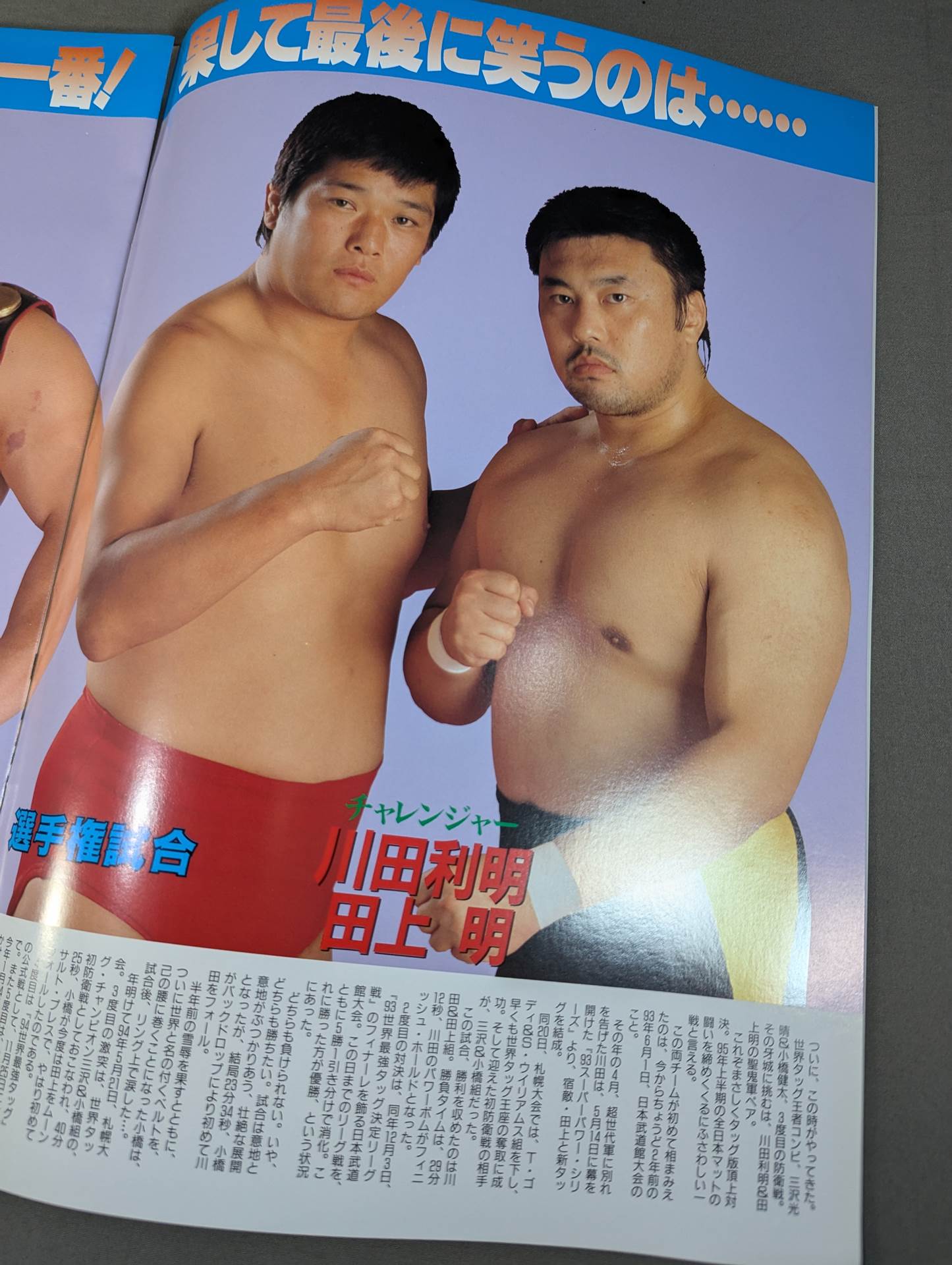 95スーパーパワー・シリーズ / 初夏・燃焼宣言IN武道館