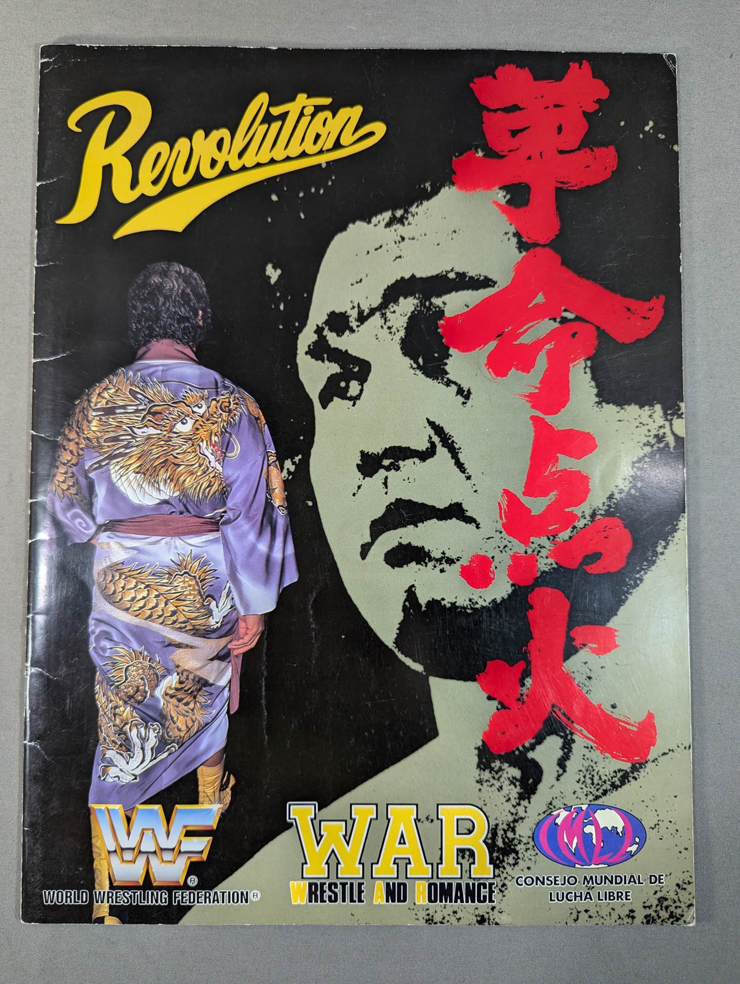 ☆フレアーvs天龍 WWF戦☆ 革命点火 in 横浜アリーナ – 闘道館