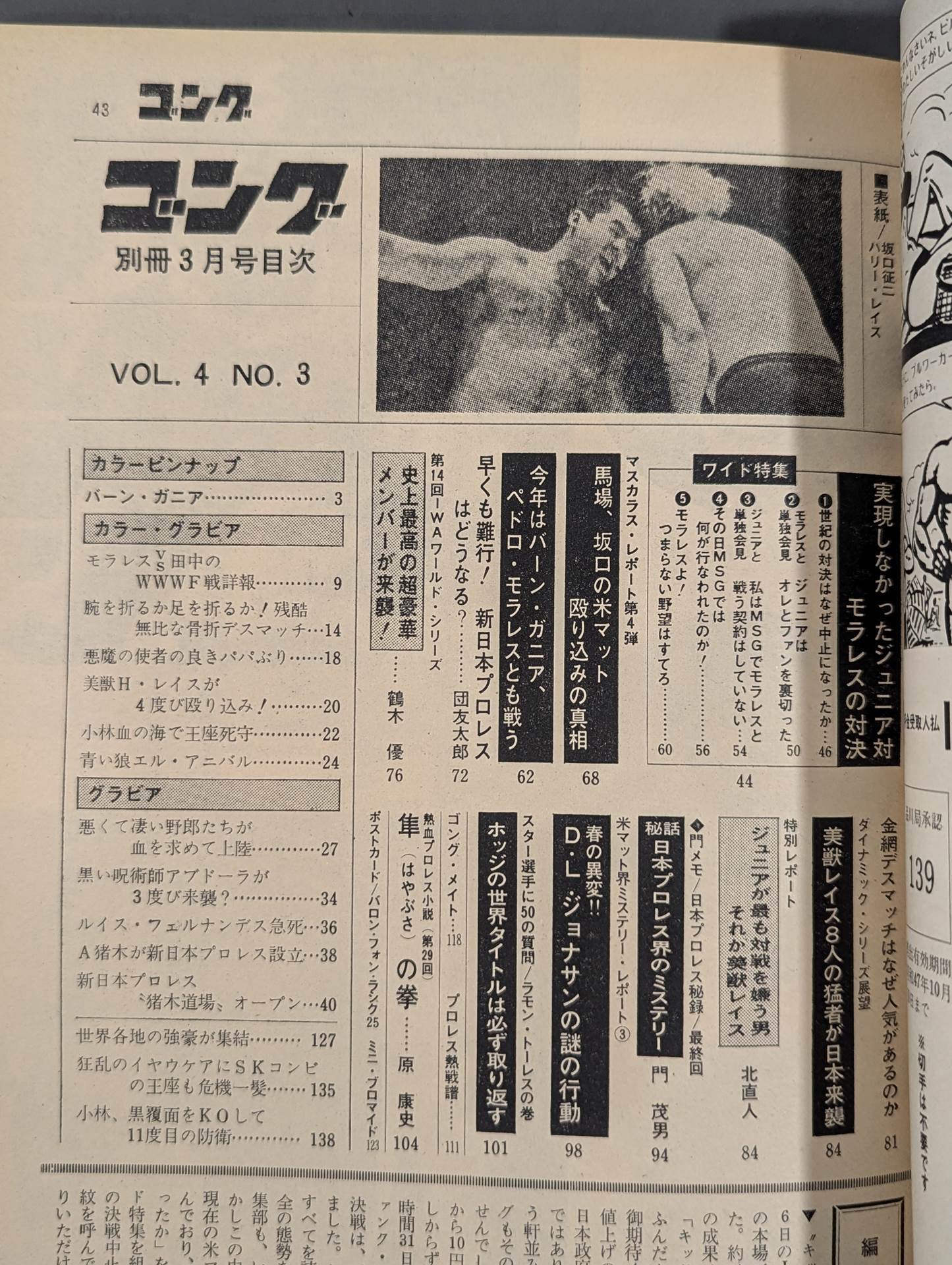 別冊ゴングVol.4 No.3