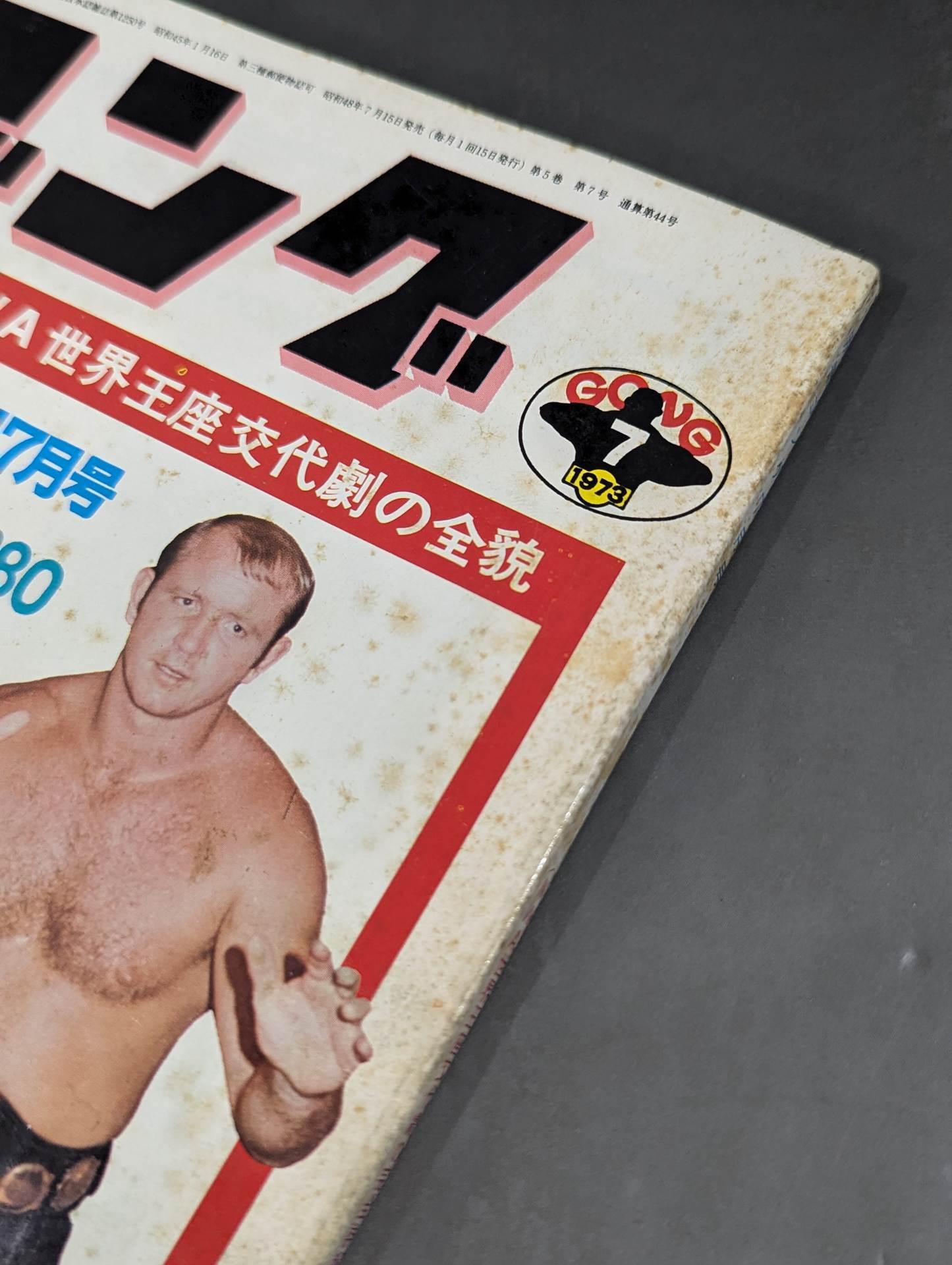 別冊ゴングVol.5 No.7