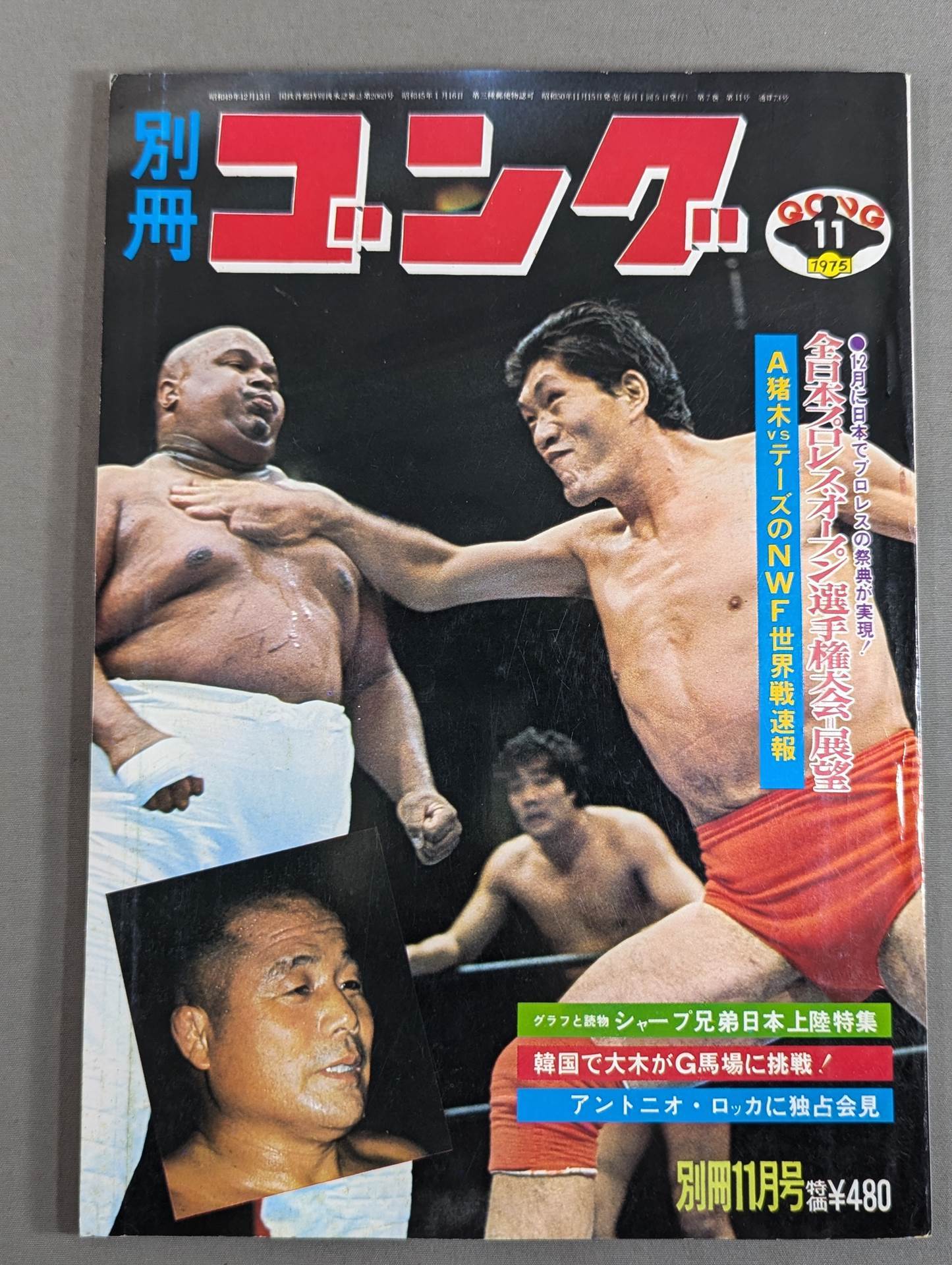 別冊ゴングVol.7 No.11 – 闘道館