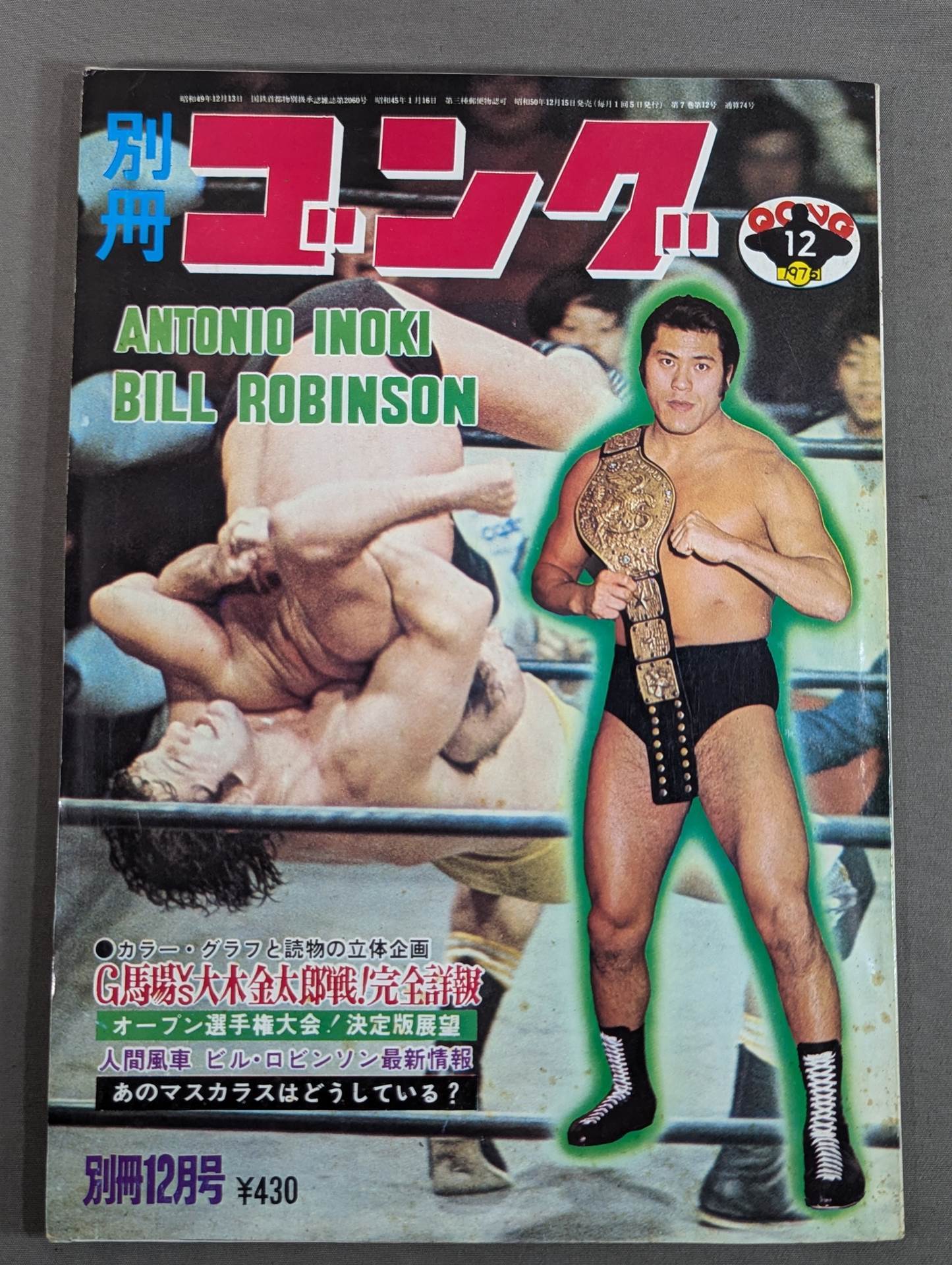 別冊ゴングVol.7 No.12 – 闘道館