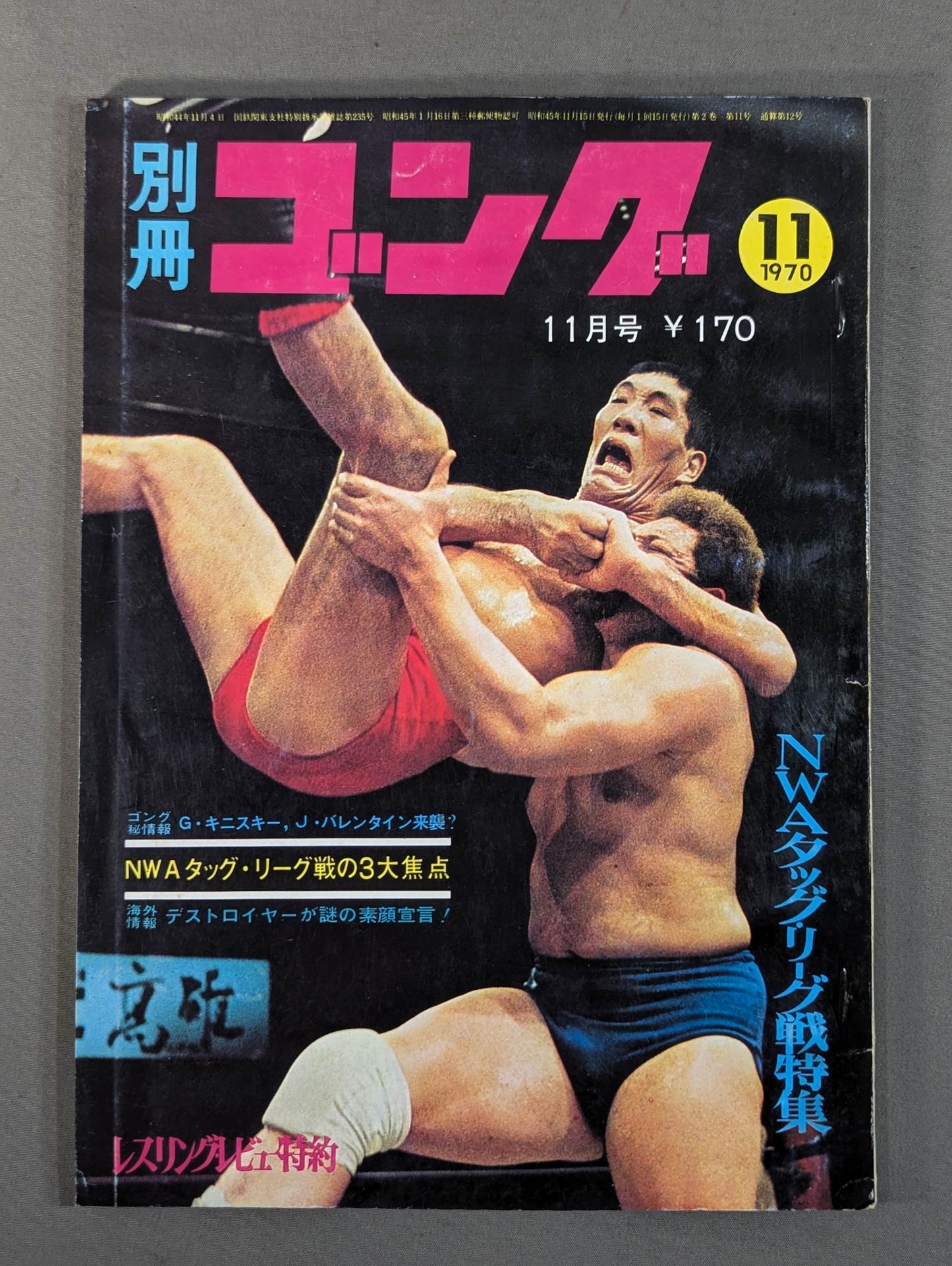 別冊ゴングVol.2 No.11 – 闘道館