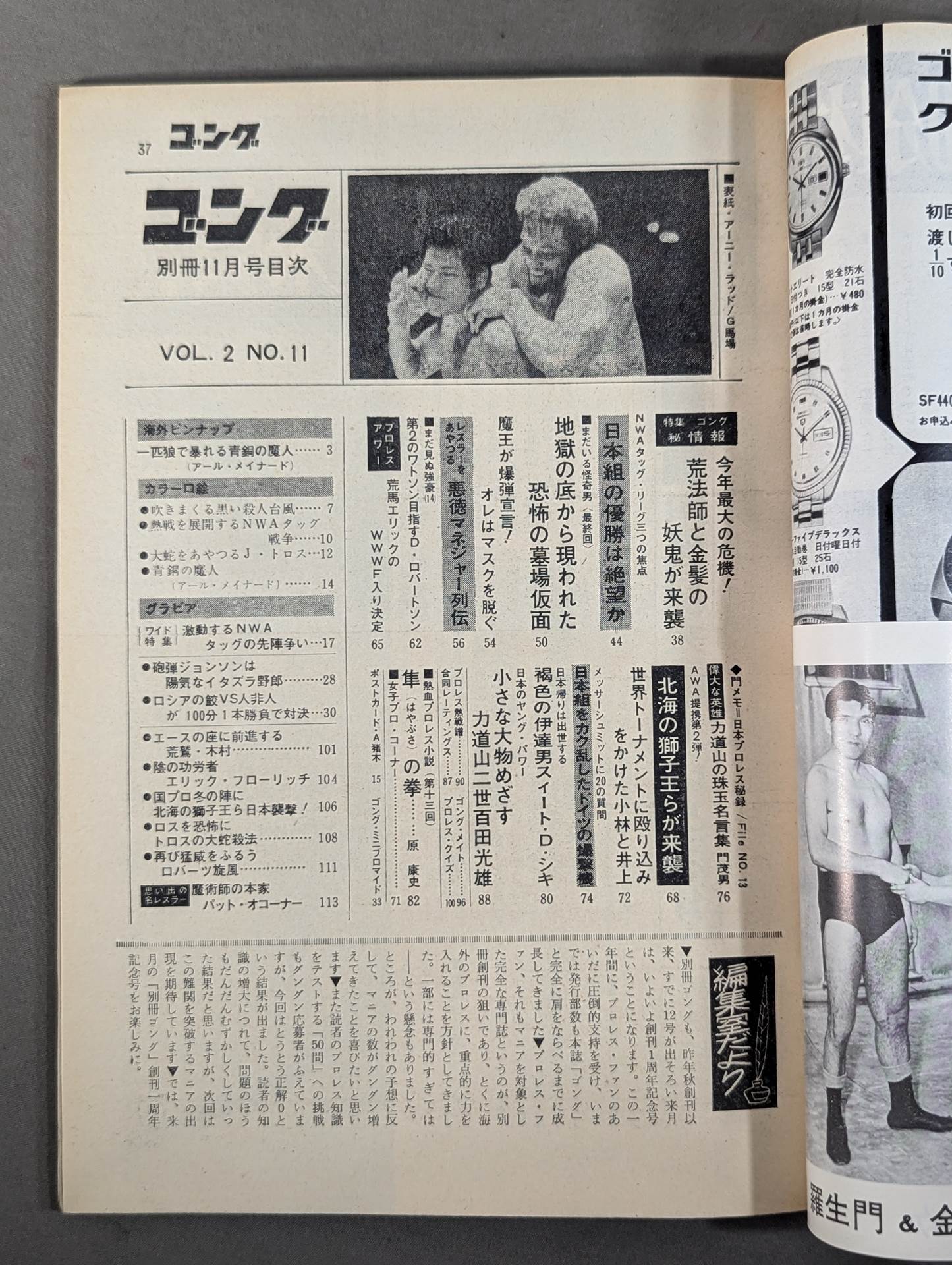 別冊ゴングVol.2 No.11