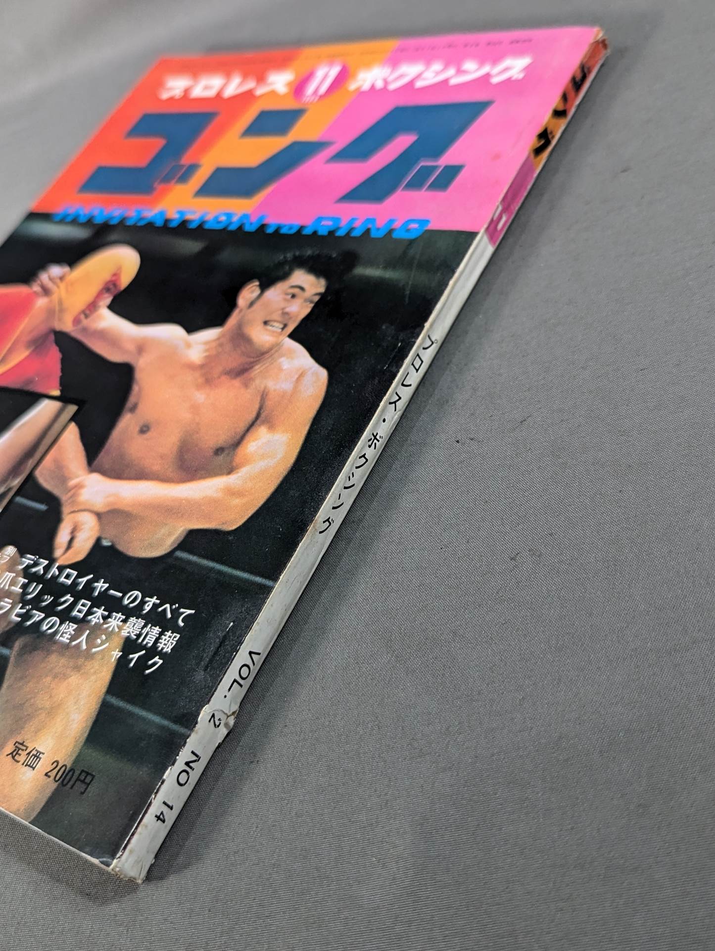 月刊ゴングVol.2 No.14