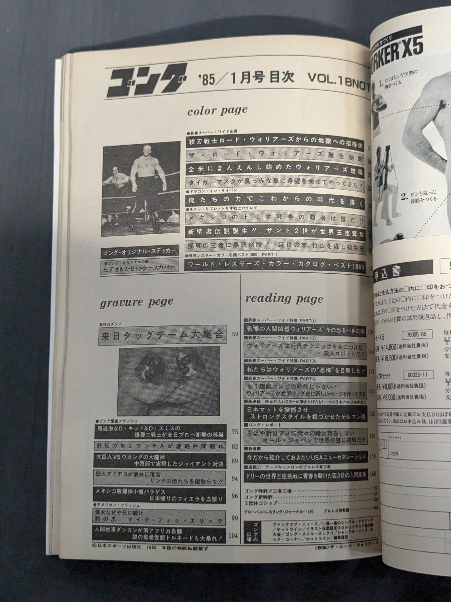月刊ゴングVol.18 No.1