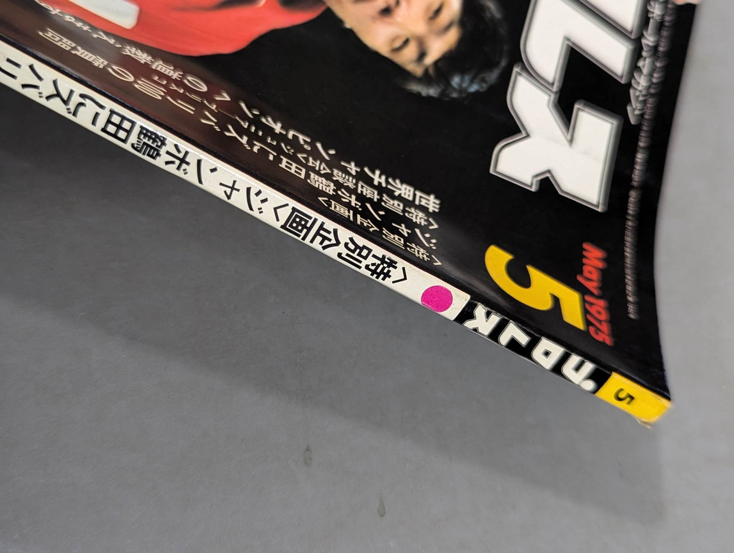 月刊プロレス 1975年5月号