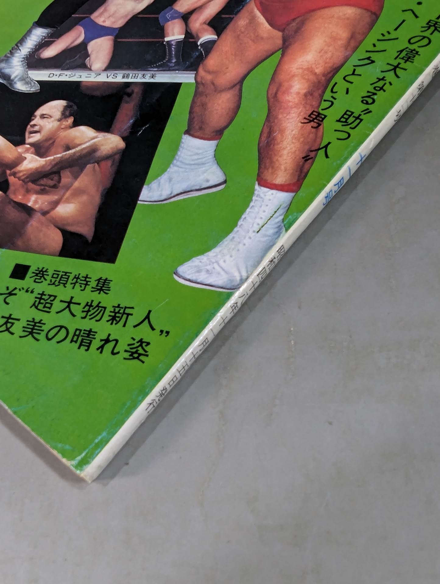 月刊プロレス 1973年11月号
