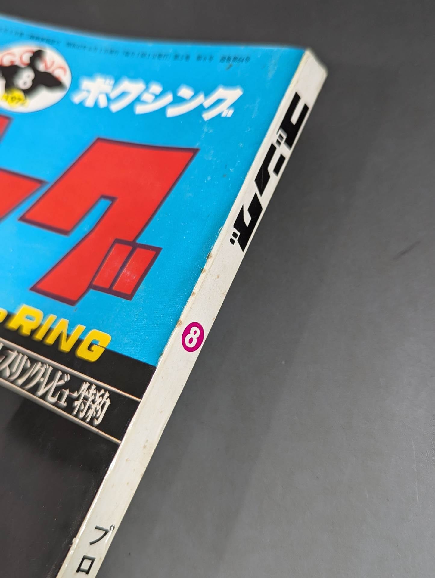 Monthly Gong Vol.5 No.8