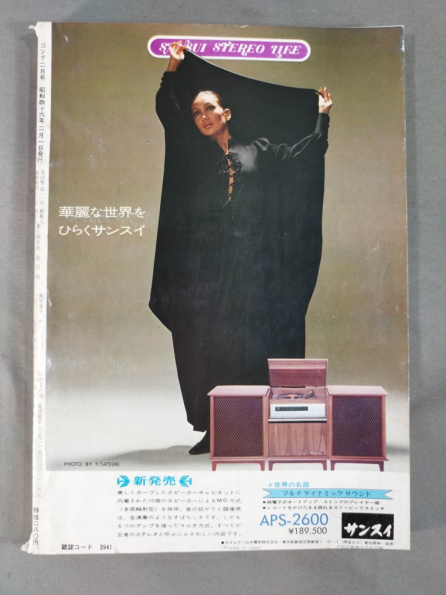月刊ゴングVol.4 No.2