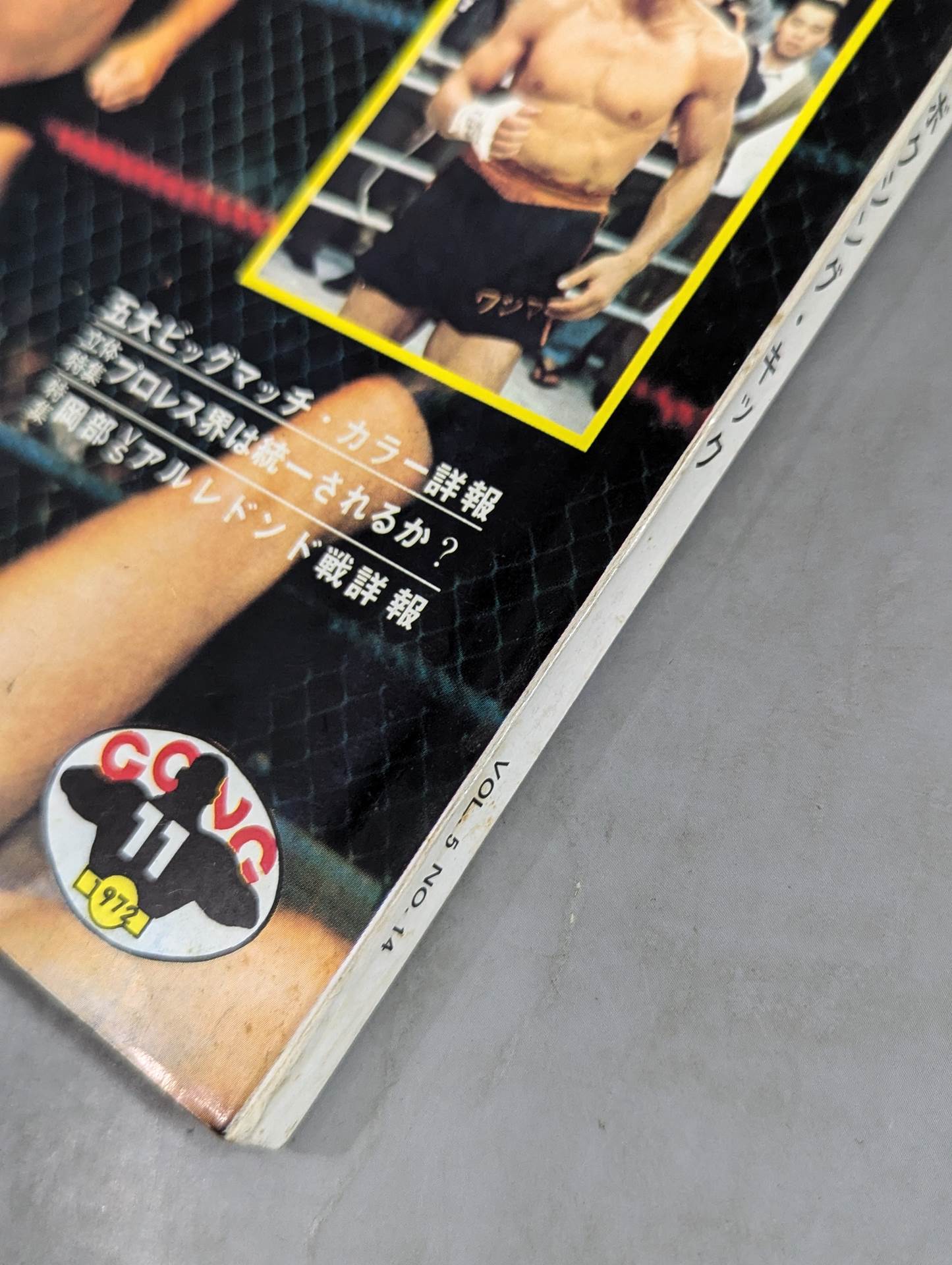 Monthly Gong Vol.5 No.14
