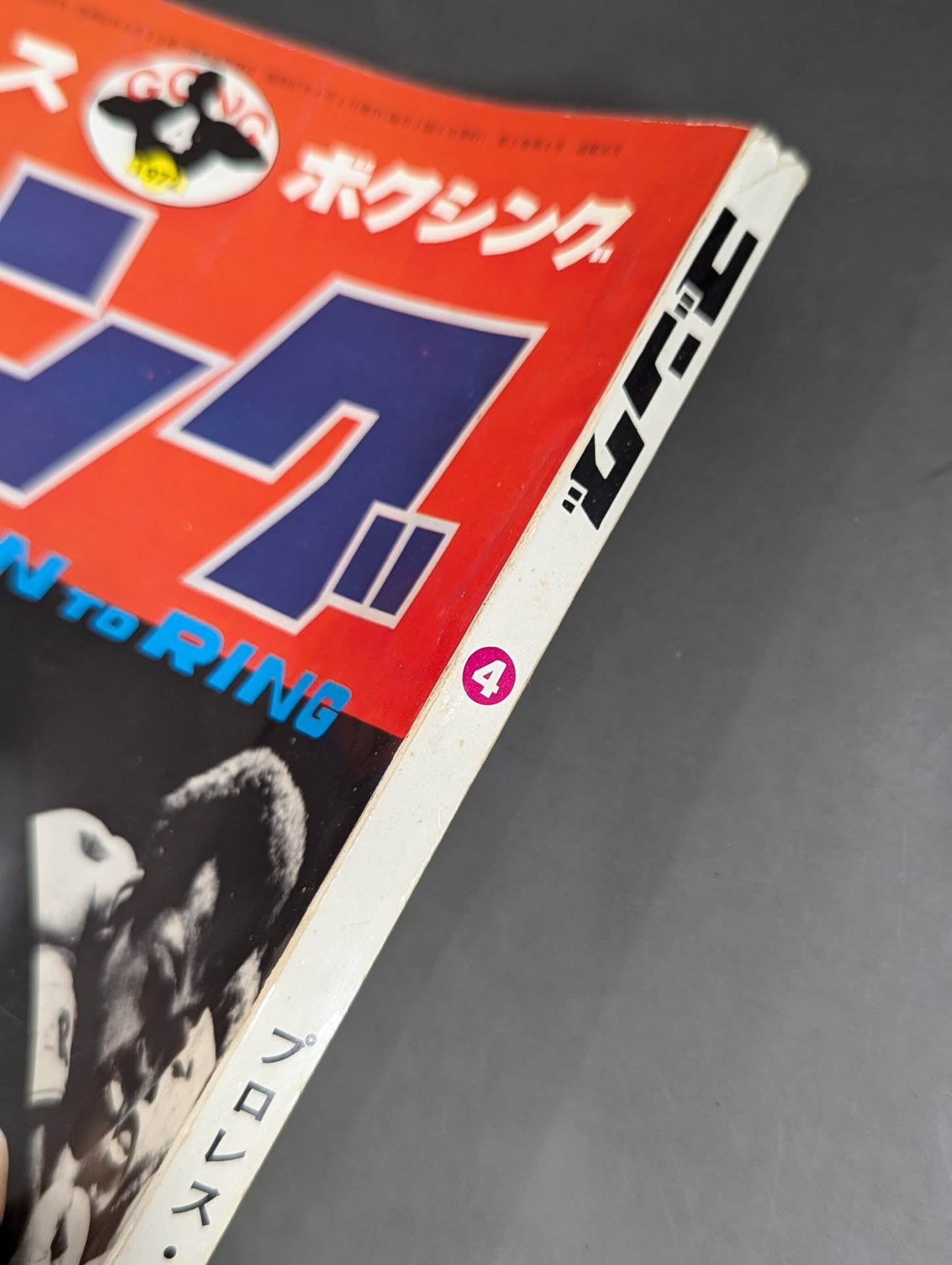 Monthly Gong Vol.5 No.4