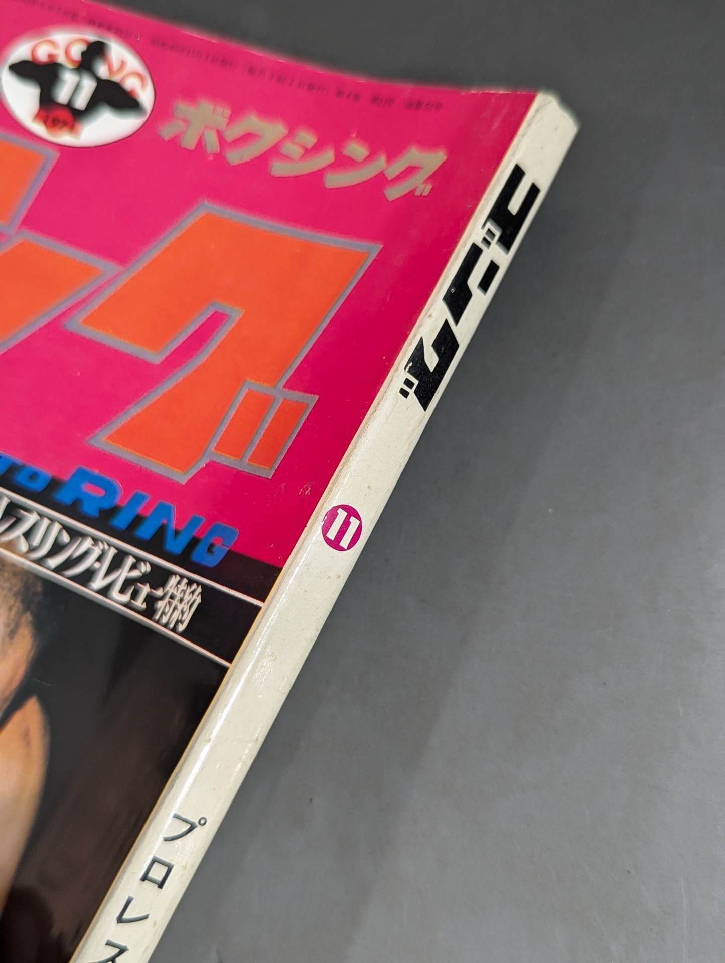 Monthly Gong Vol.4 No.11