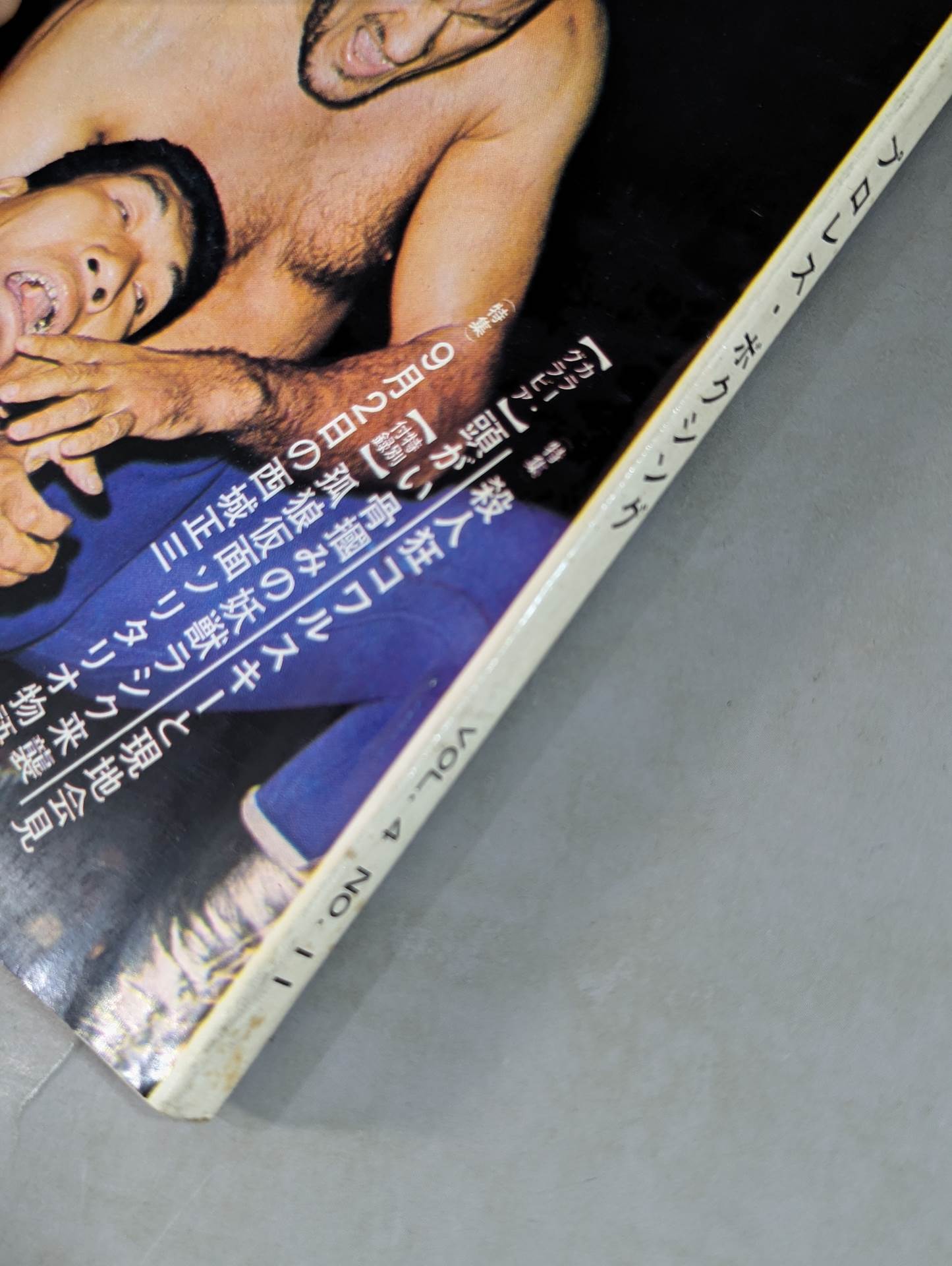 Monthly Gong Vol.4 No.11