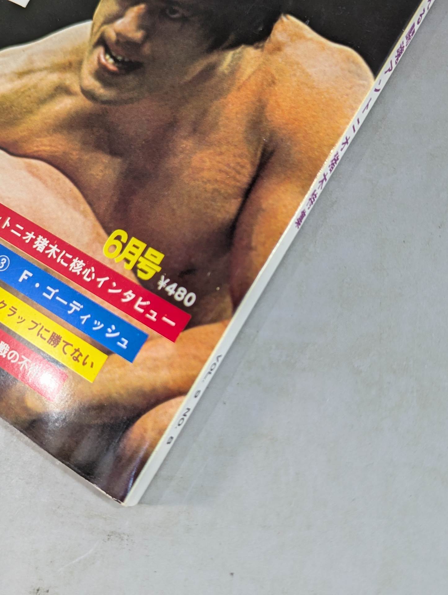 Monthly Gong Vol.9 No.8