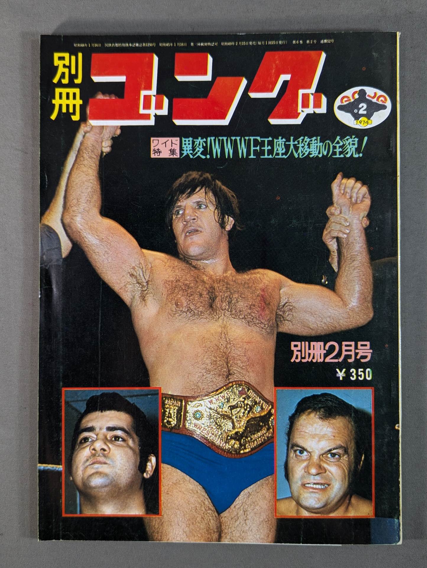 別冊ゴングVol.6 No.2 – 闘道館