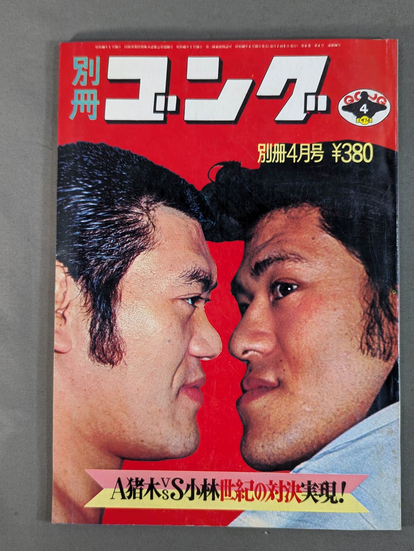 別冊ゴングVol.6 No.4