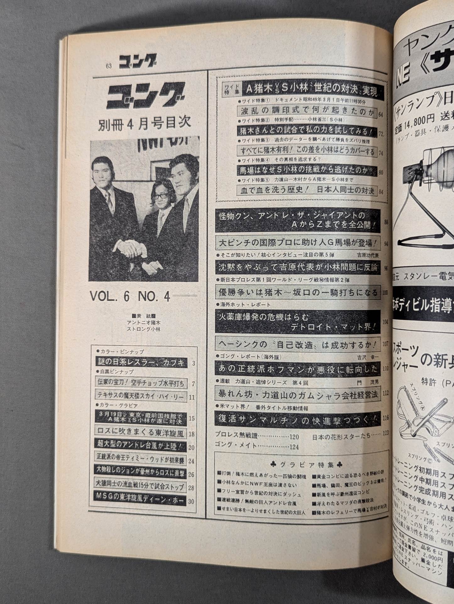 別冊ゴングVol.6 No.4