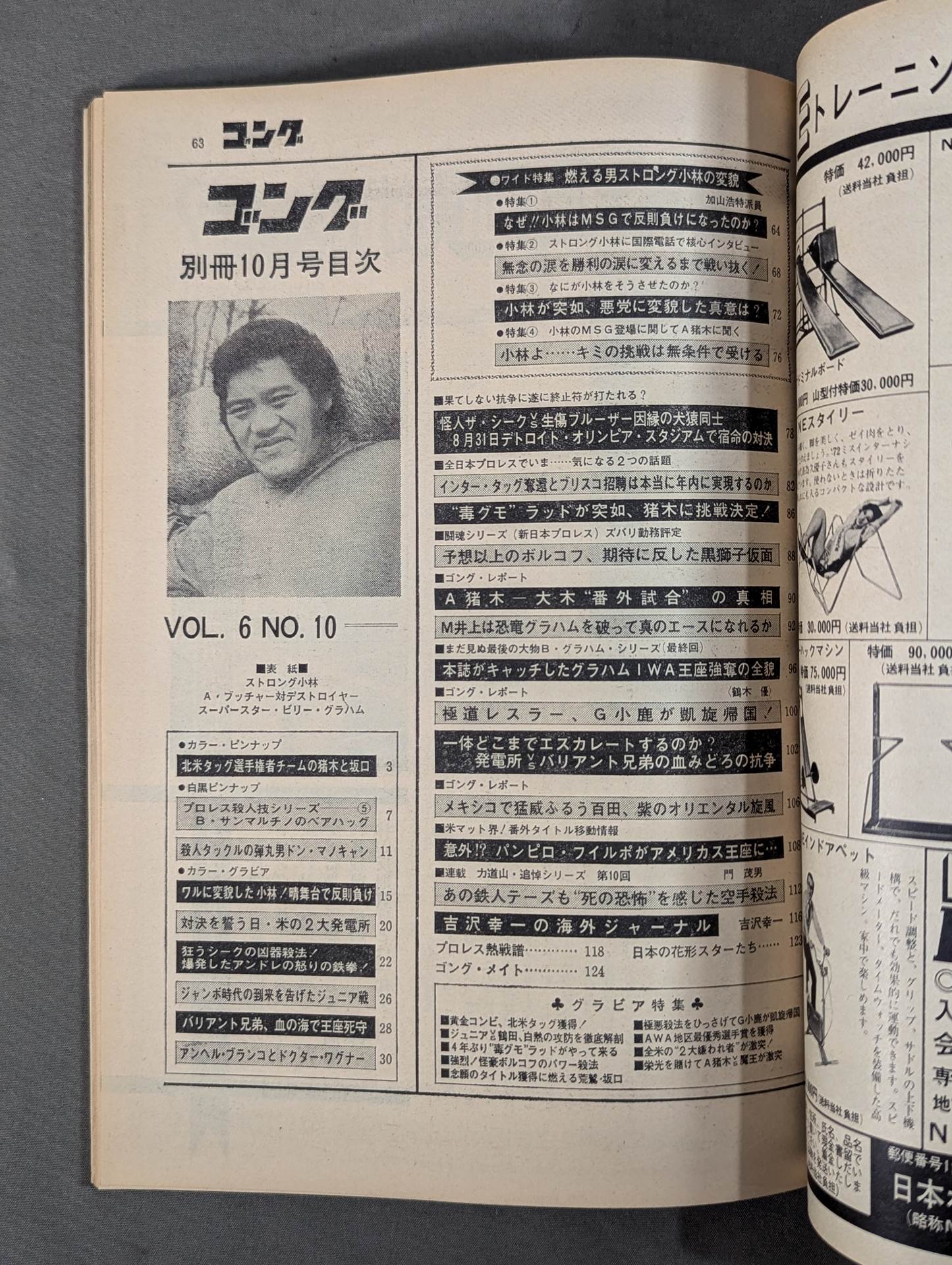 別冊ゴングVol.6 No.10